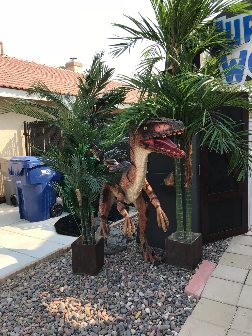 Orange Velociraptor Dinosaur