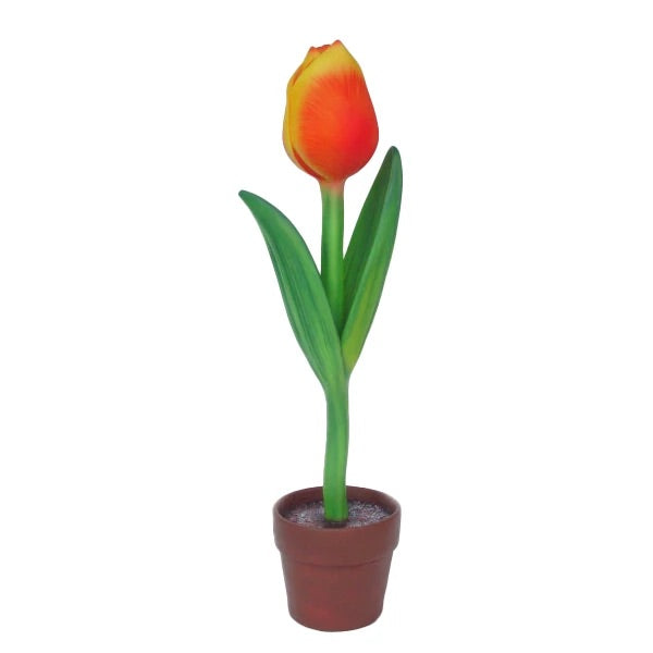 Mini Tulip Flower