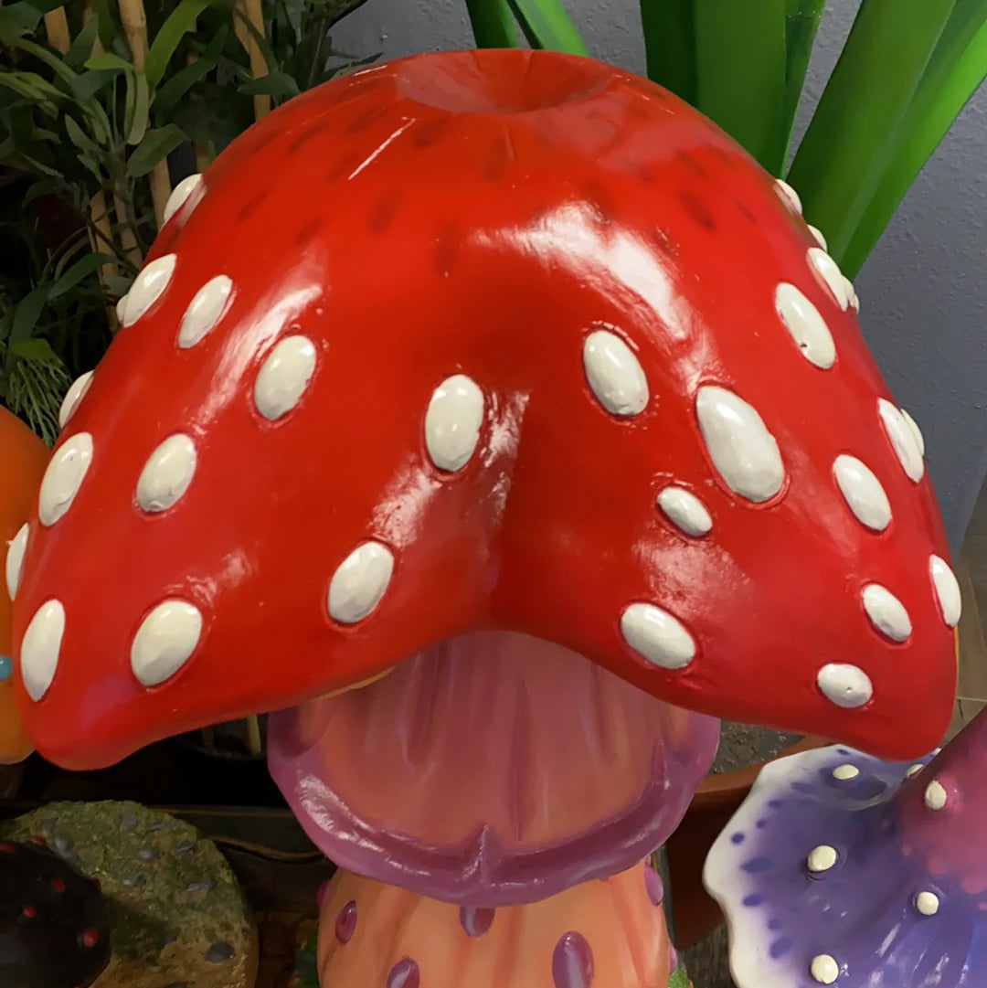 Jelly Mushroom Stool