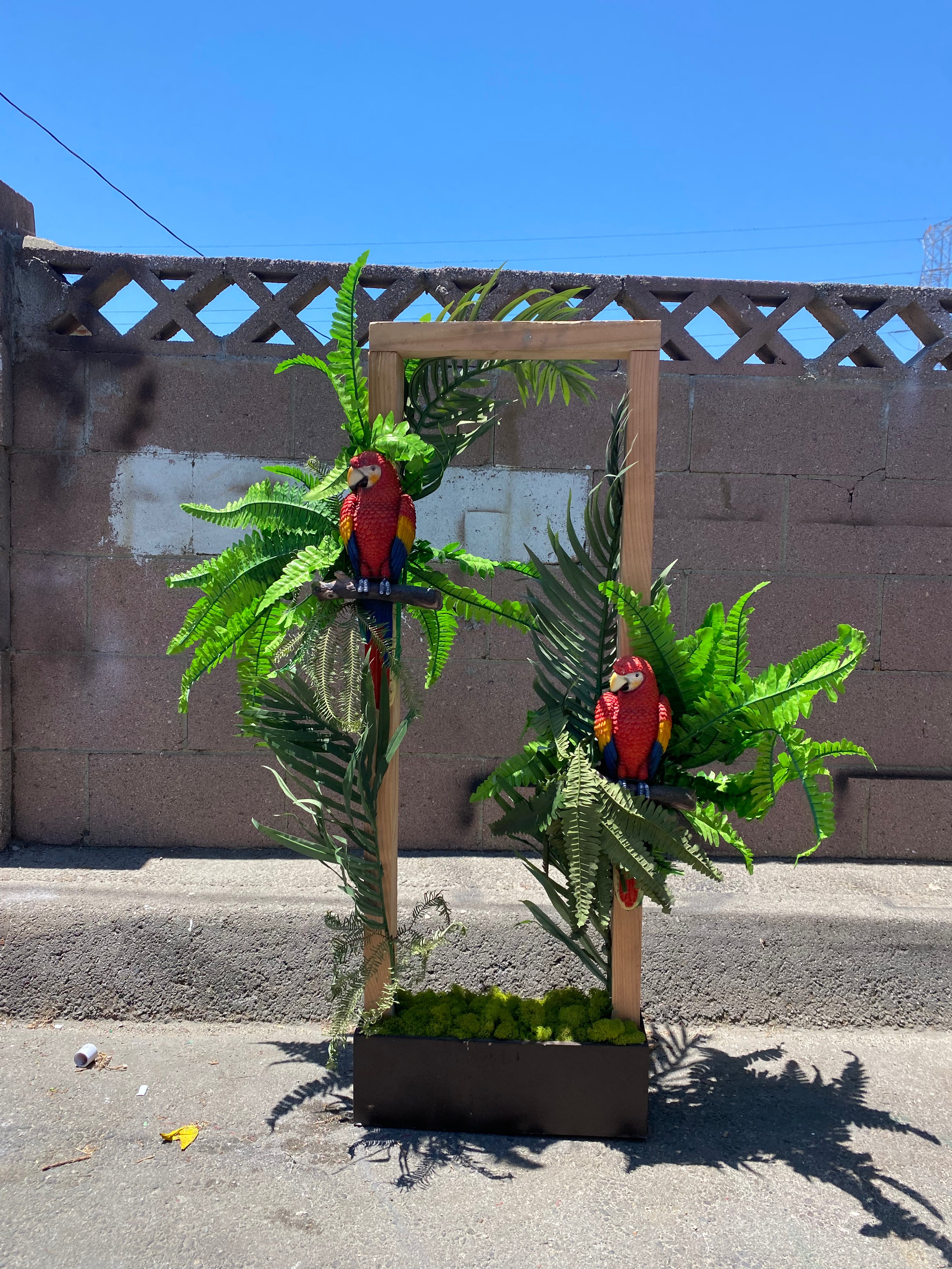 Parrot Tree