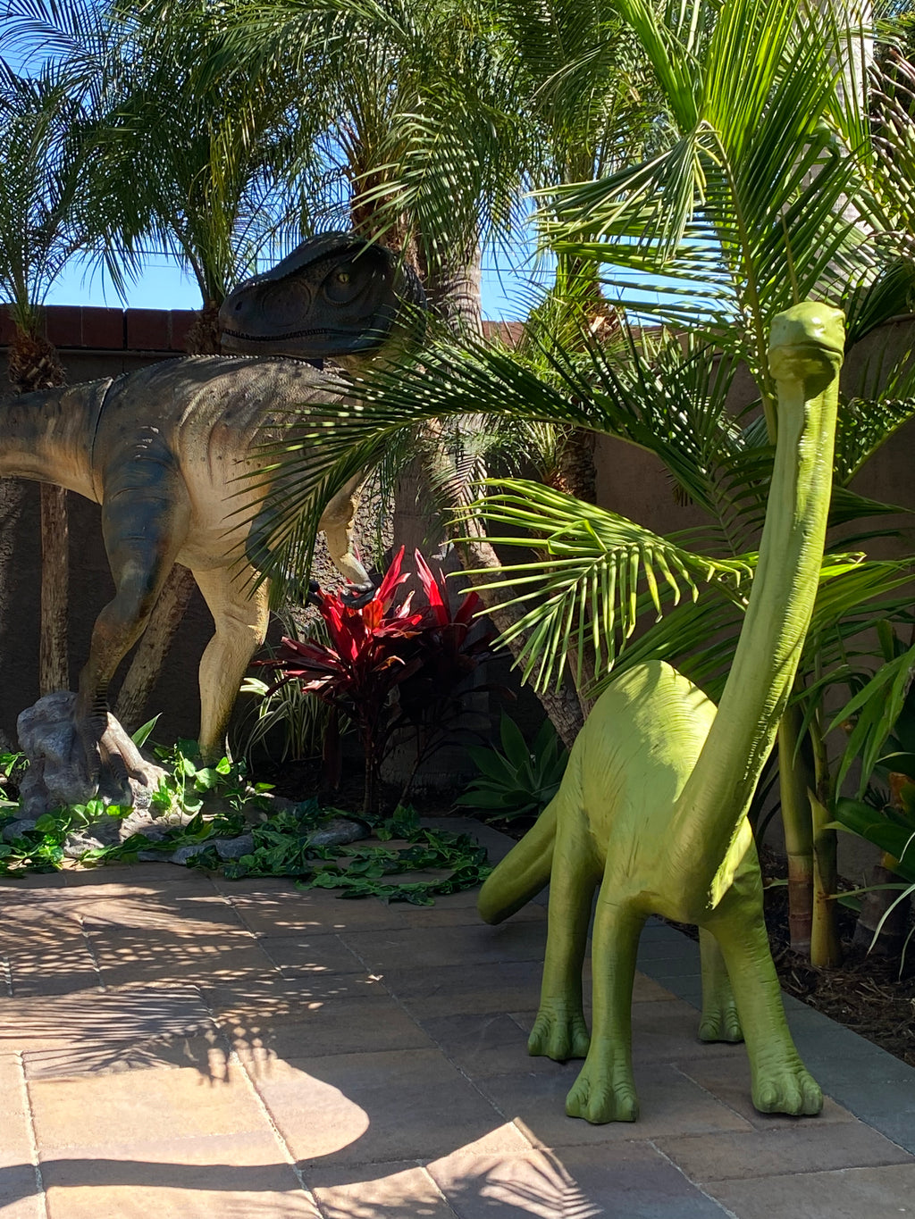 Baby Brachiosaurus Dinosaur