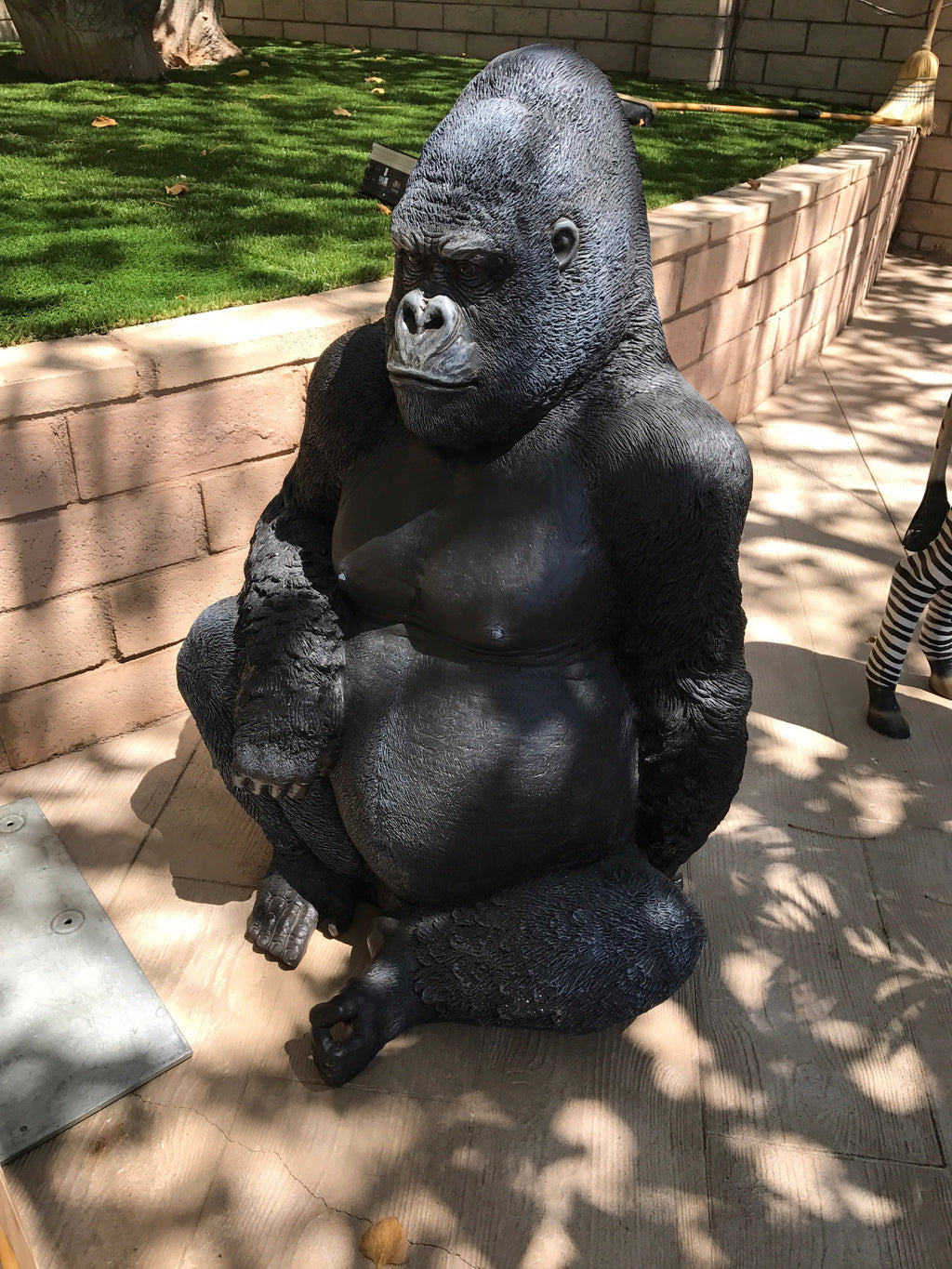 Sitting Gorilla