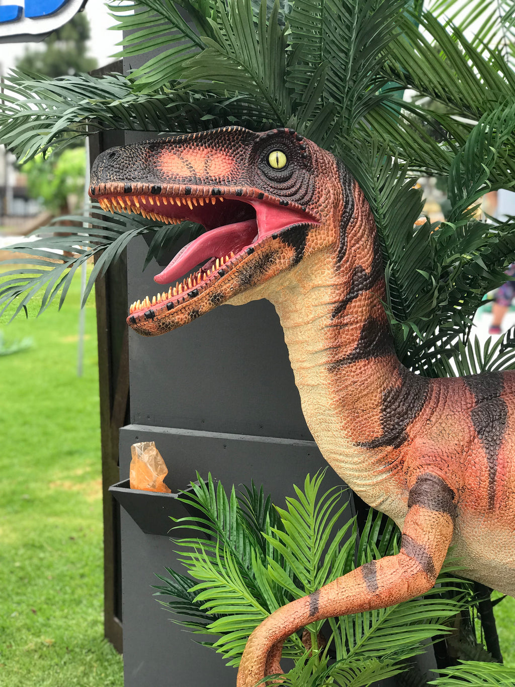Orange Velociraptor Dinosaur