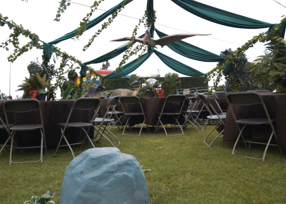 Pteranodon Flying Dinosaur