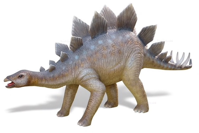 Stegosaurus Dinosaur