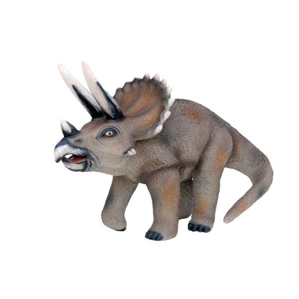 Baby Triceratops Dinosaur