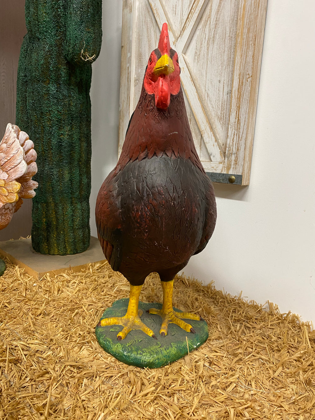 Red Chicken Hen