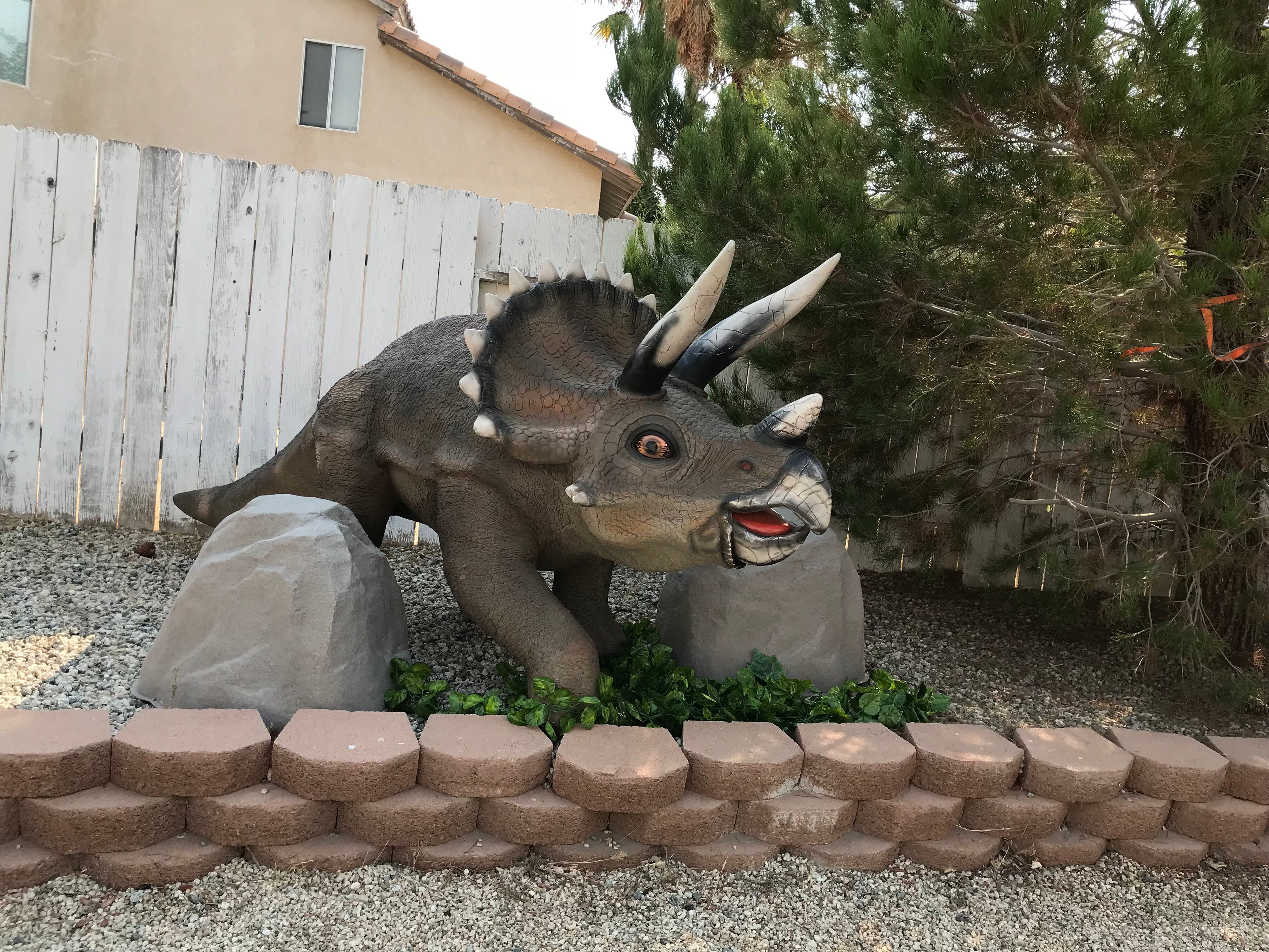 Triceratops Dinosaur