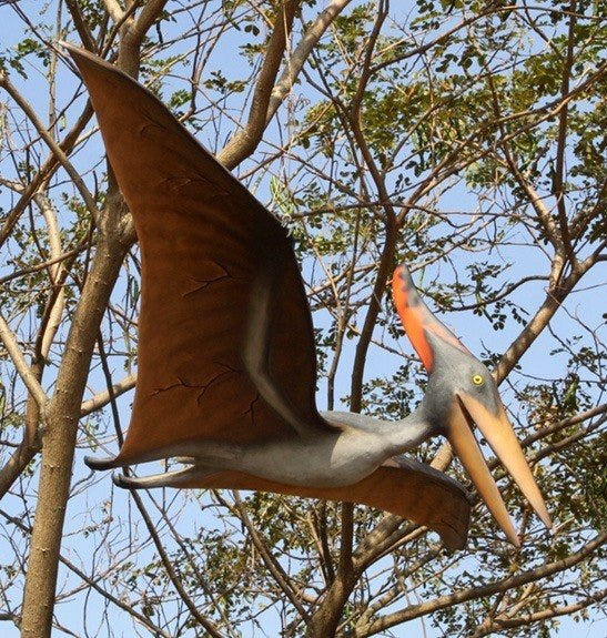 Pteranodon Flying Dinosaur