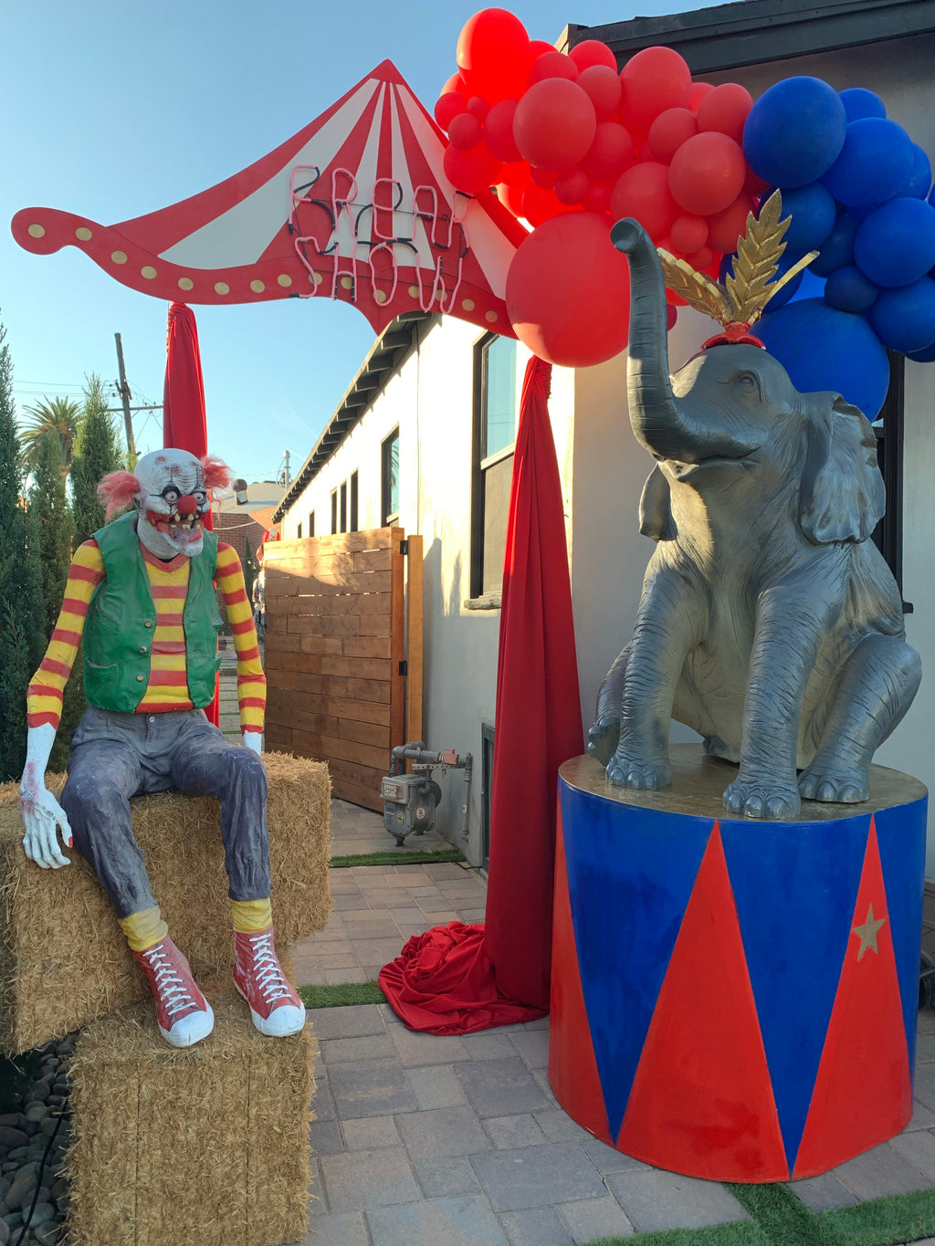 Circus Elephant Package