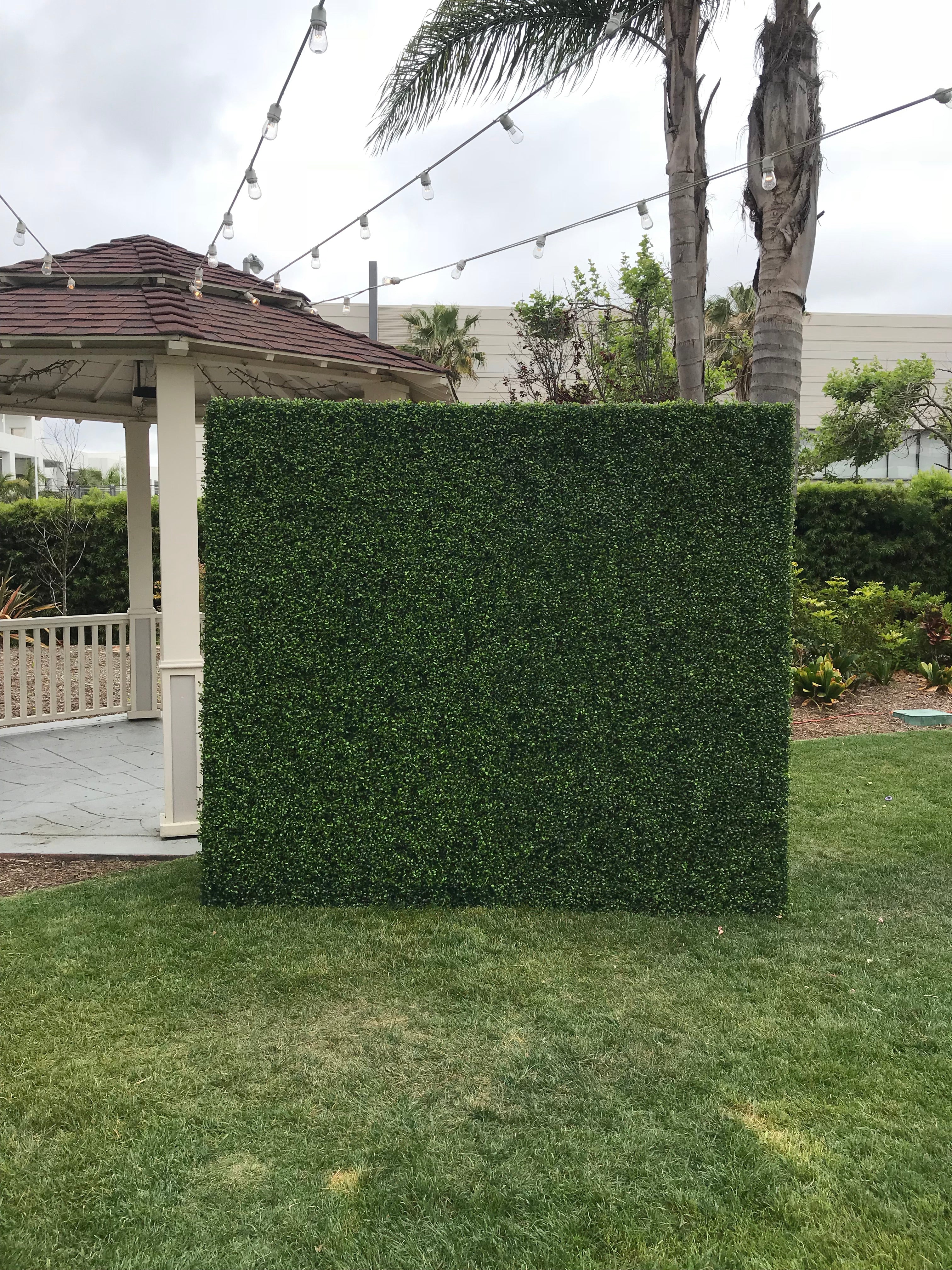 Hedge Wall With No Black Base