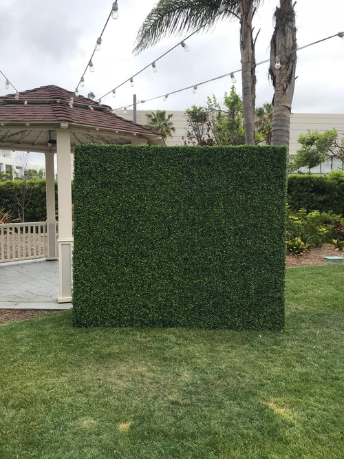 Hedge Wall With No Black Base