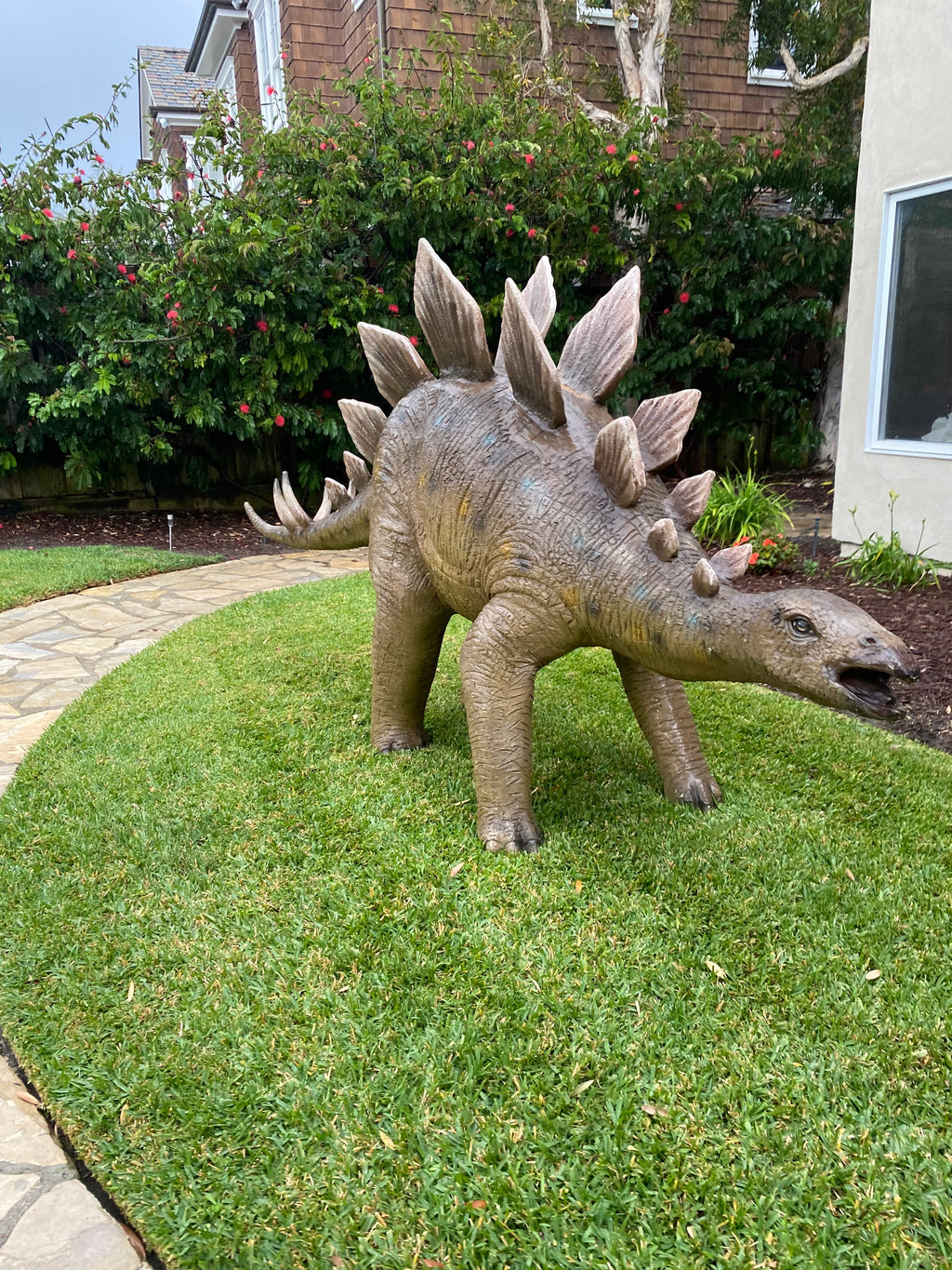 Stegosaurus Dinosaur