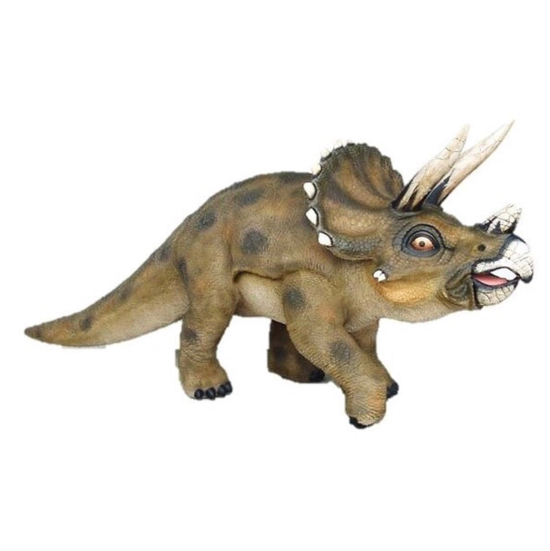 Triceratops Dinosaur