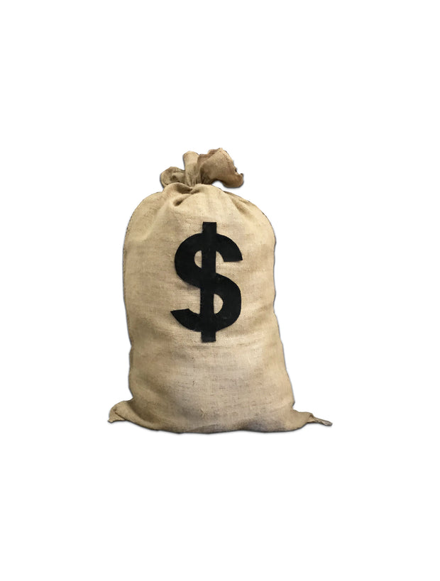 Large Money Bag