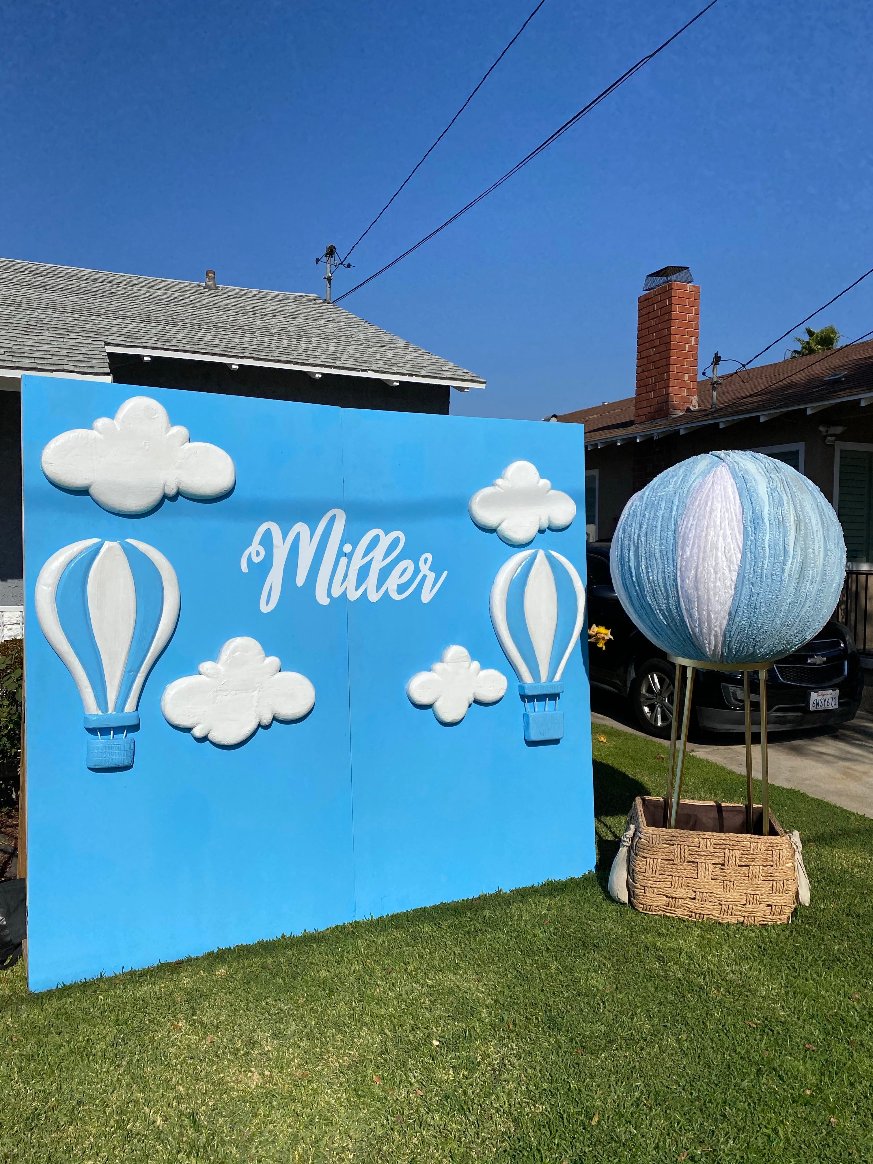 Hot Air Balloon Backdrop