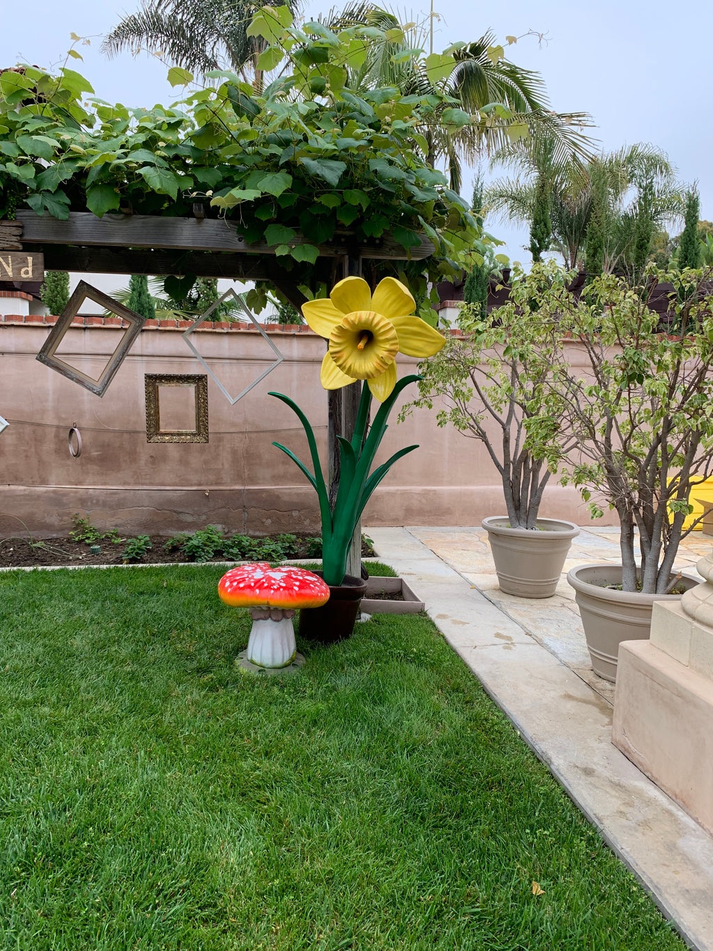 Large Narcis Flower