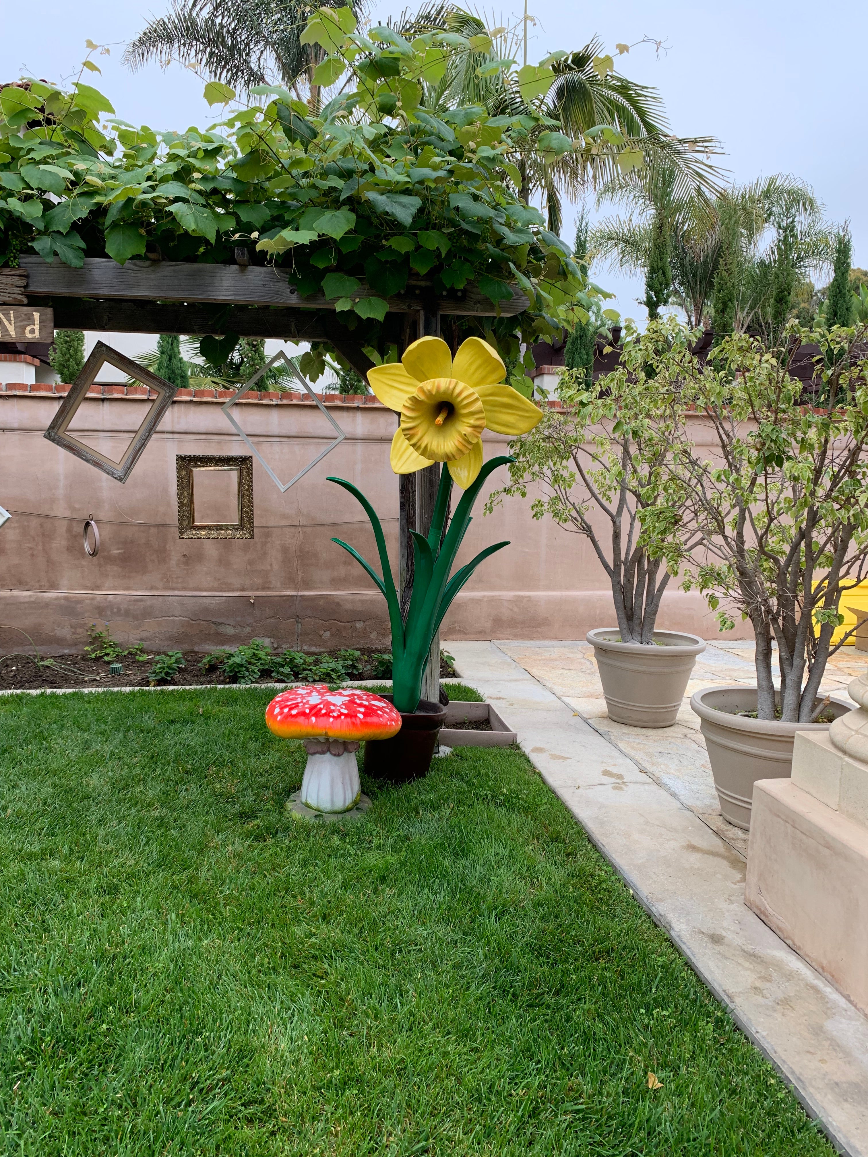 Large Narcis Flower