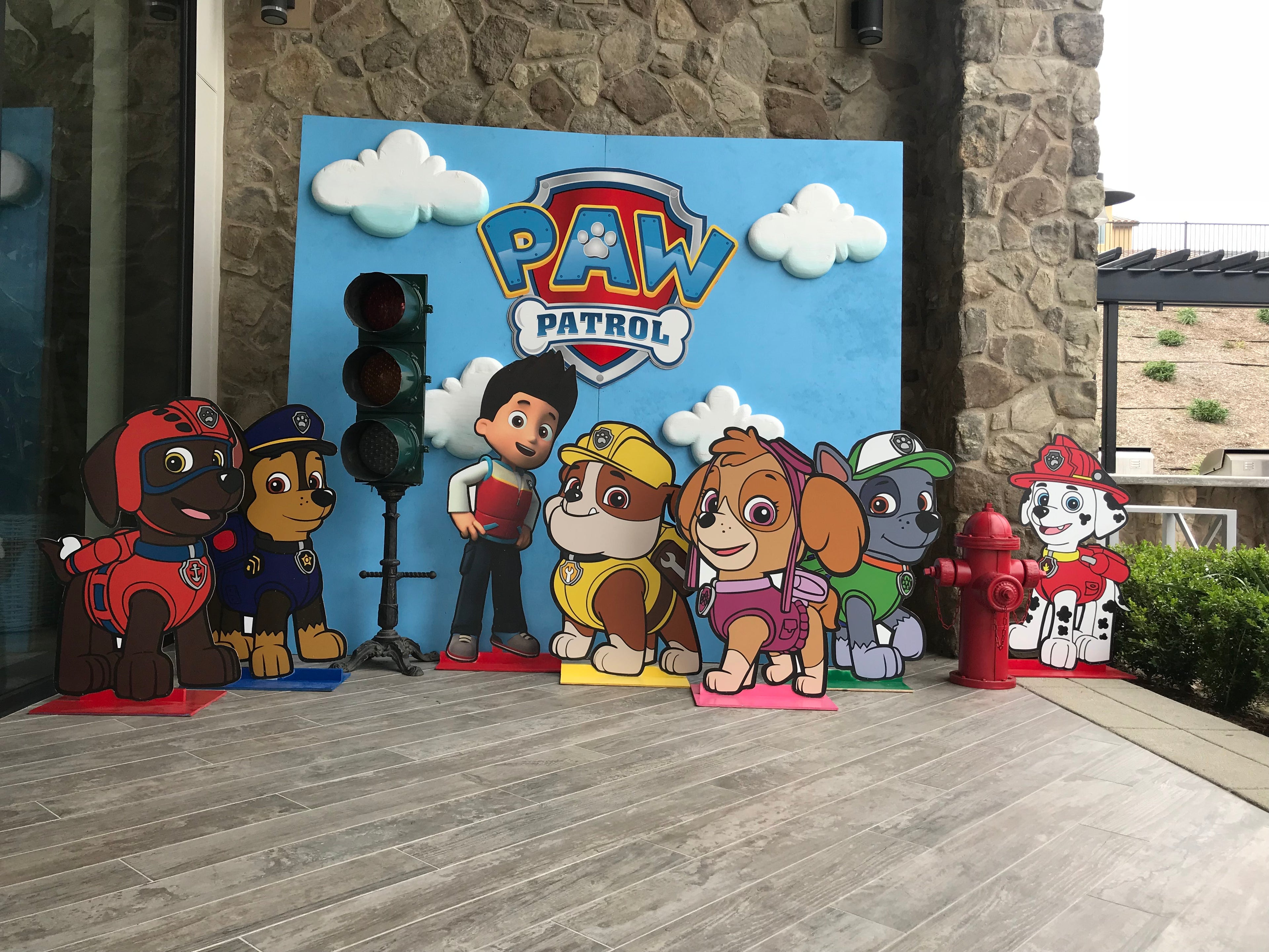 Paw Patrol Package B