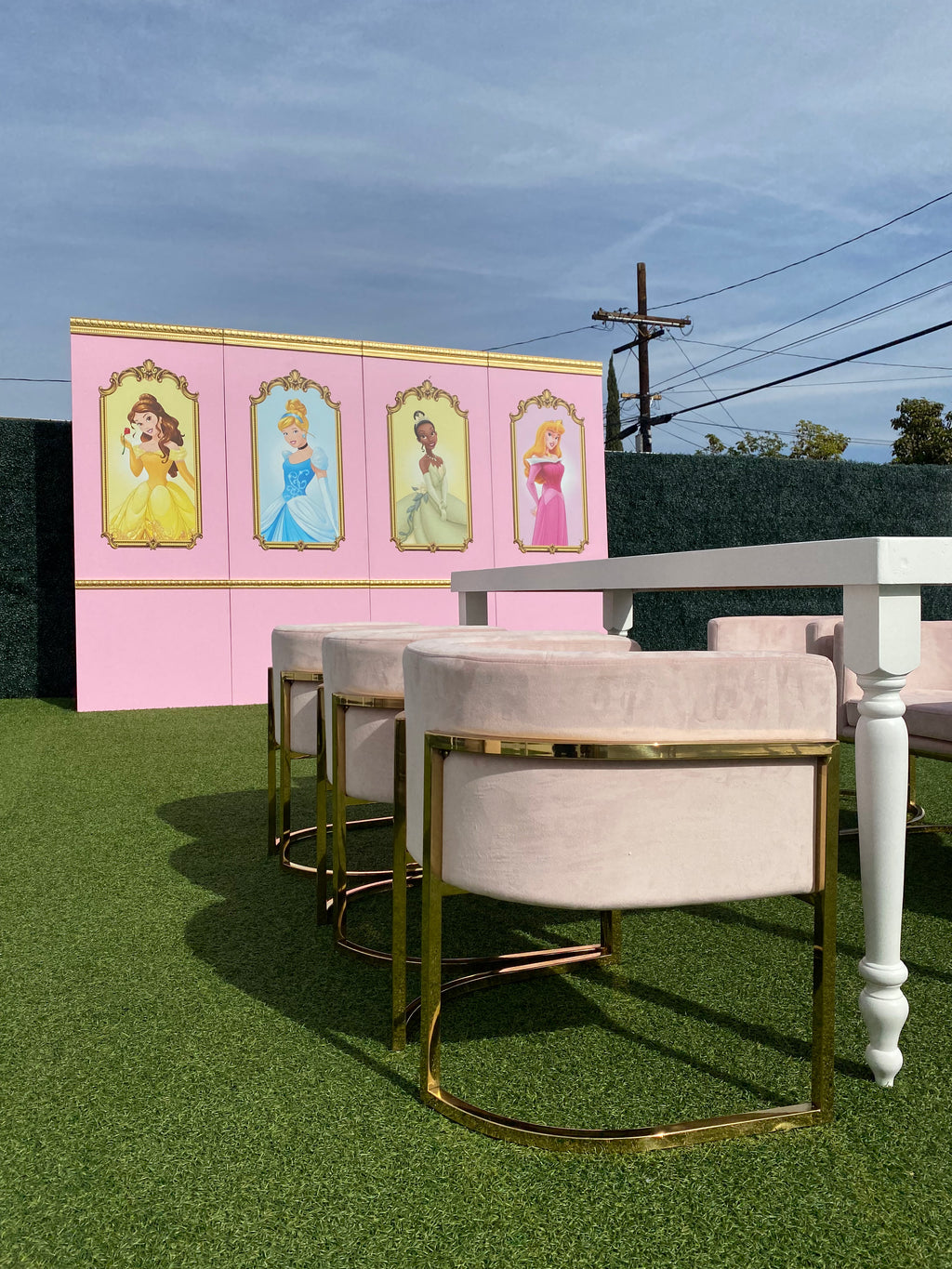 Princess Tiana Backdrop Panel