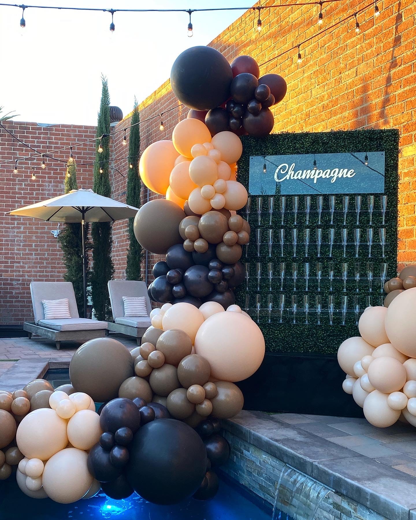 Champagne Hedge Wall Display