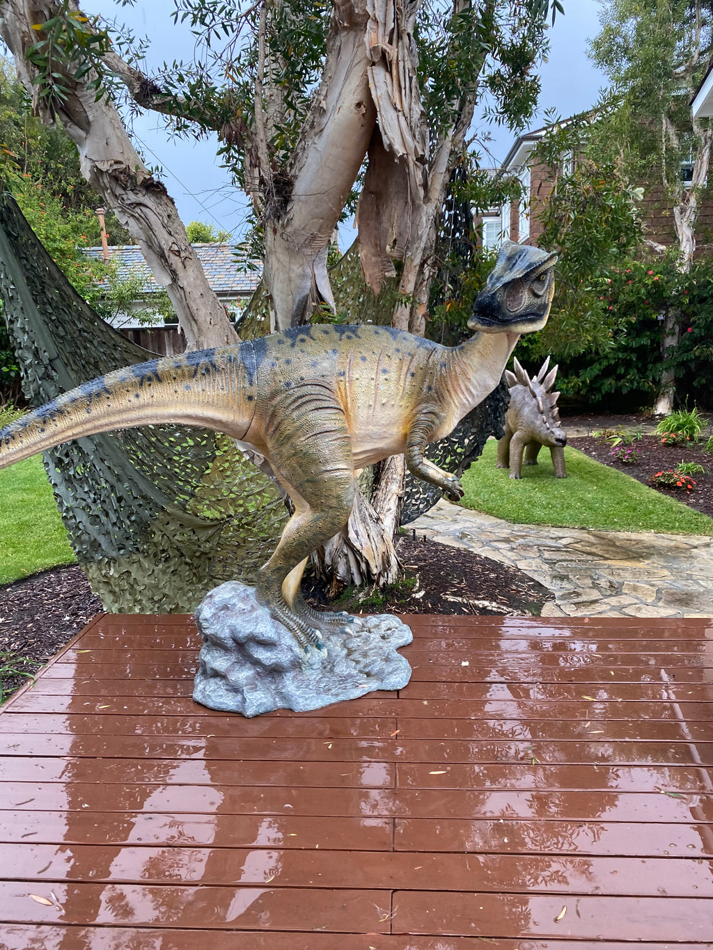 Head Turned Allosaurus Dinosaur