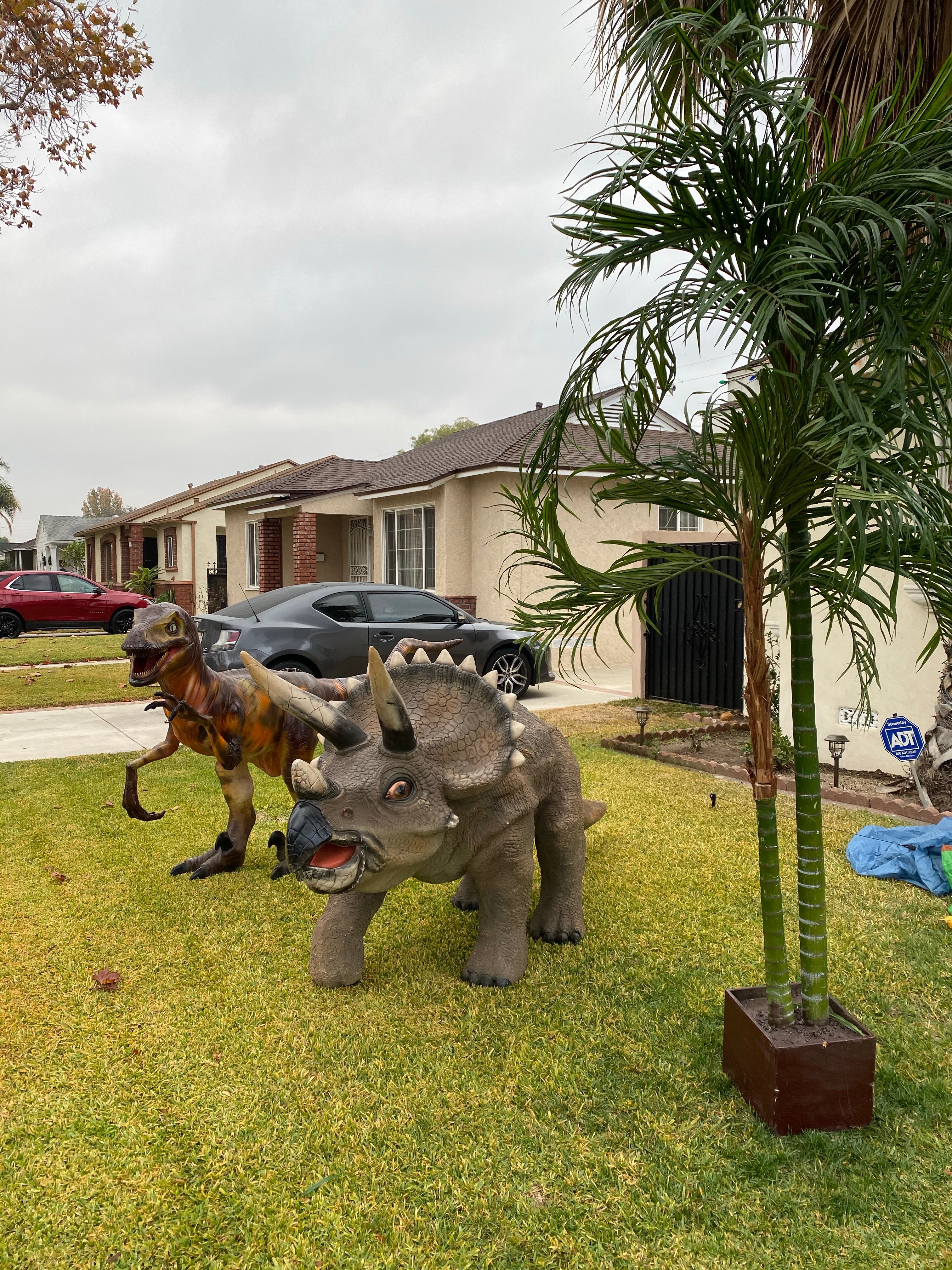 Triceratops Dinosaur