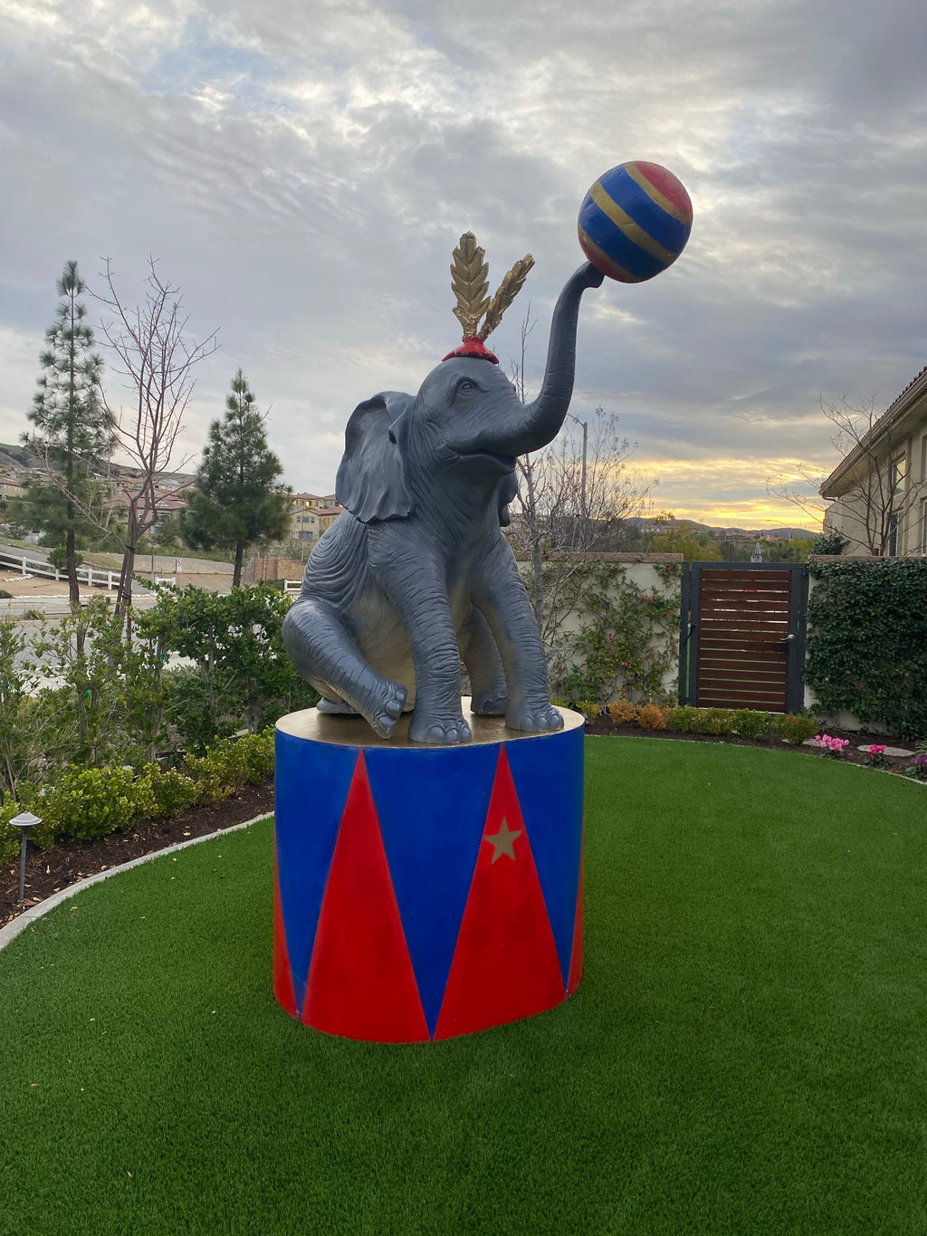Circus Elephant Package