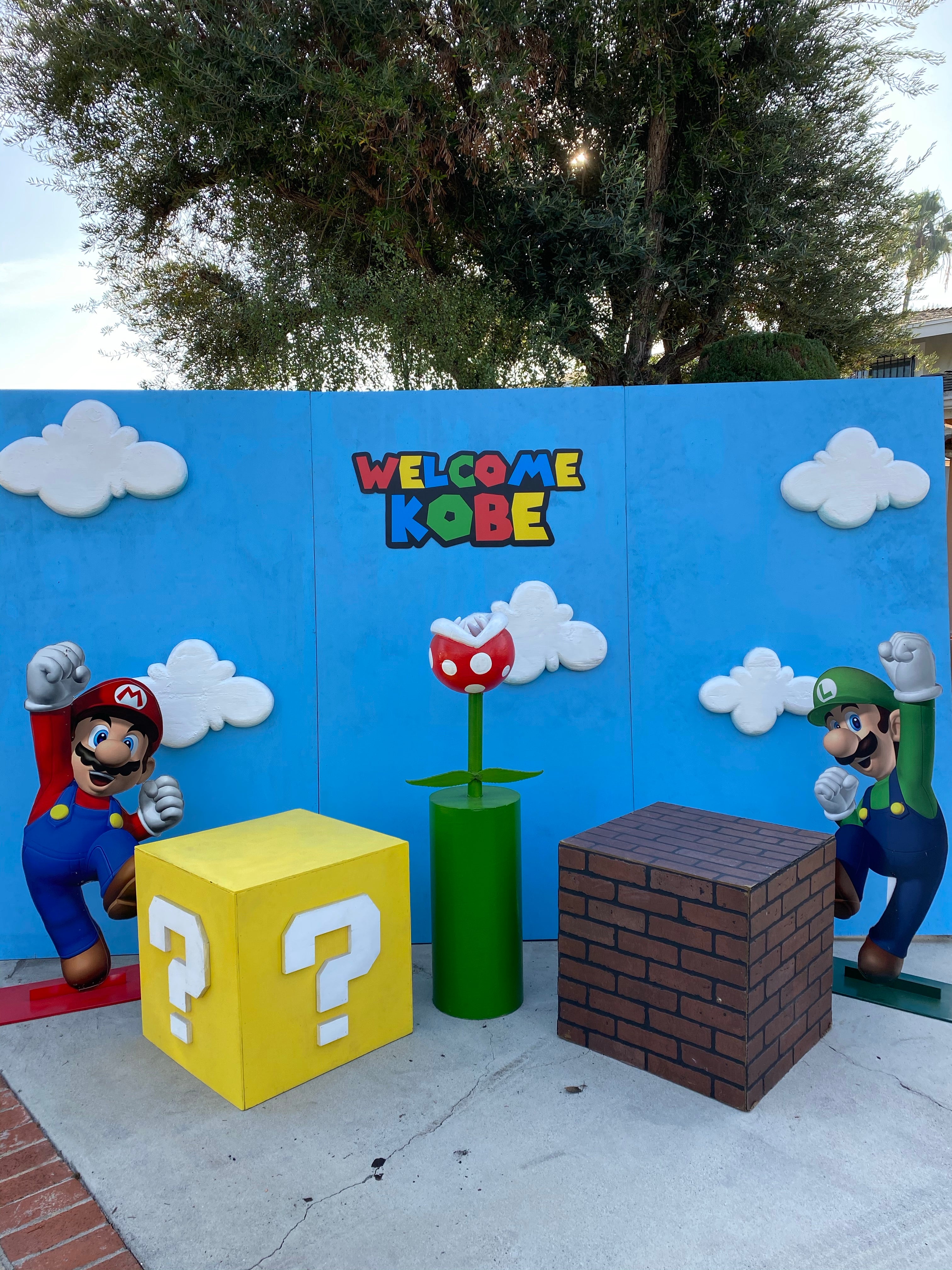 Super Mario Brothers Package