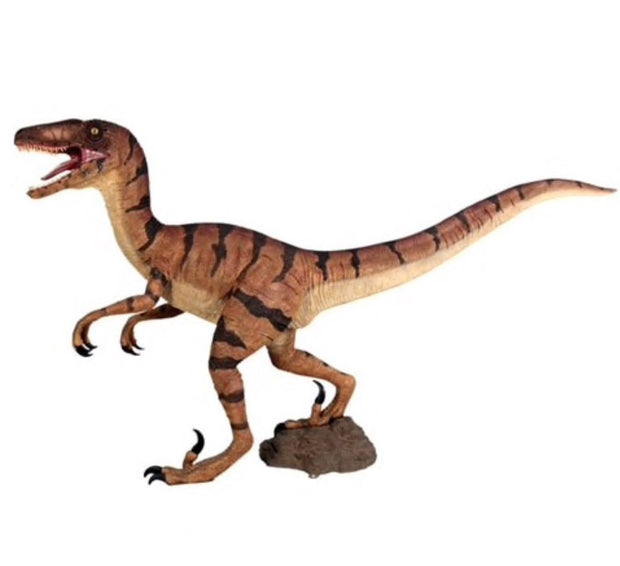 Orange Velociraptor Dinosaur