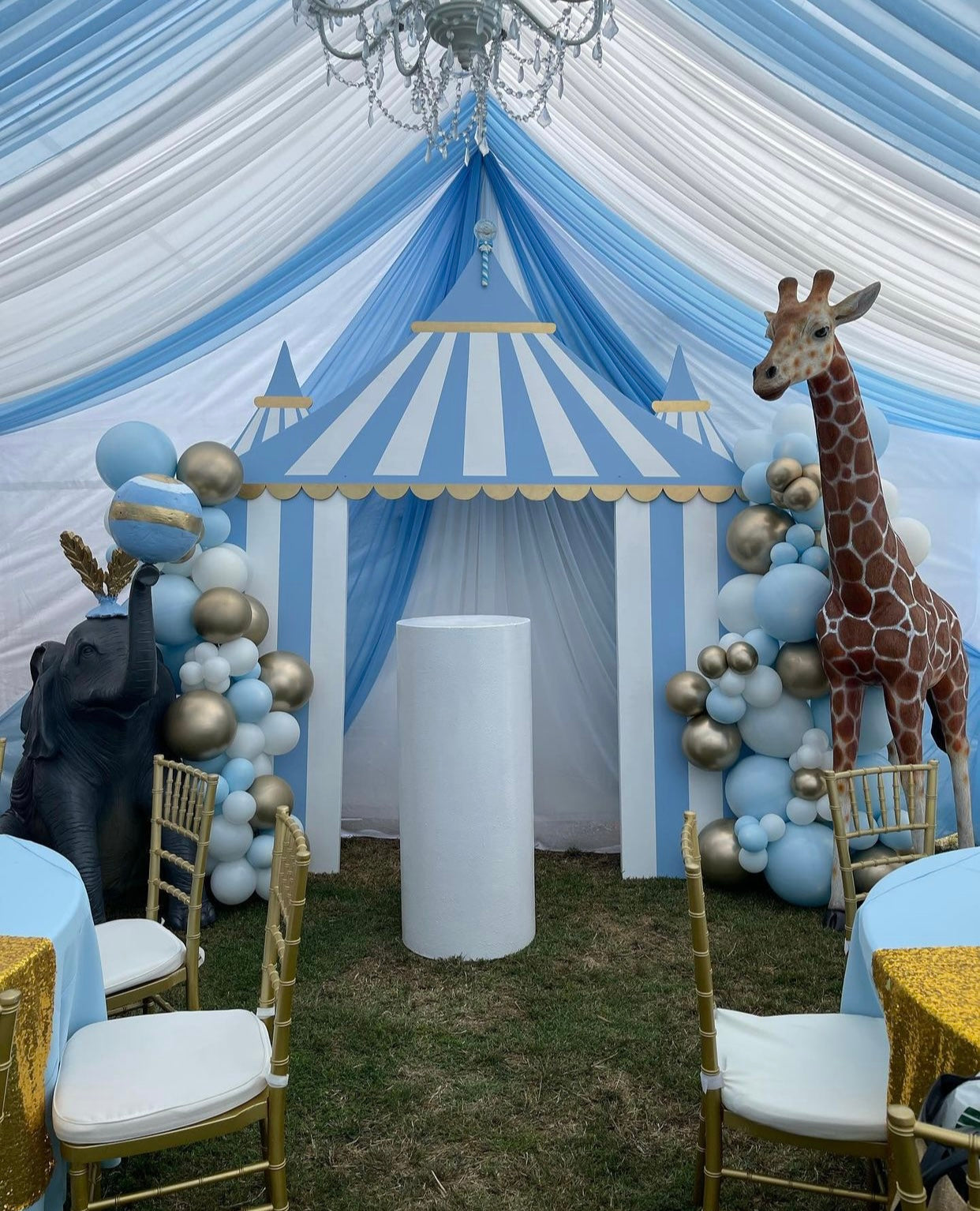 circus party tent Blue Circus / Carnival Tent Backdrop – Platinum Prop House, Inc
