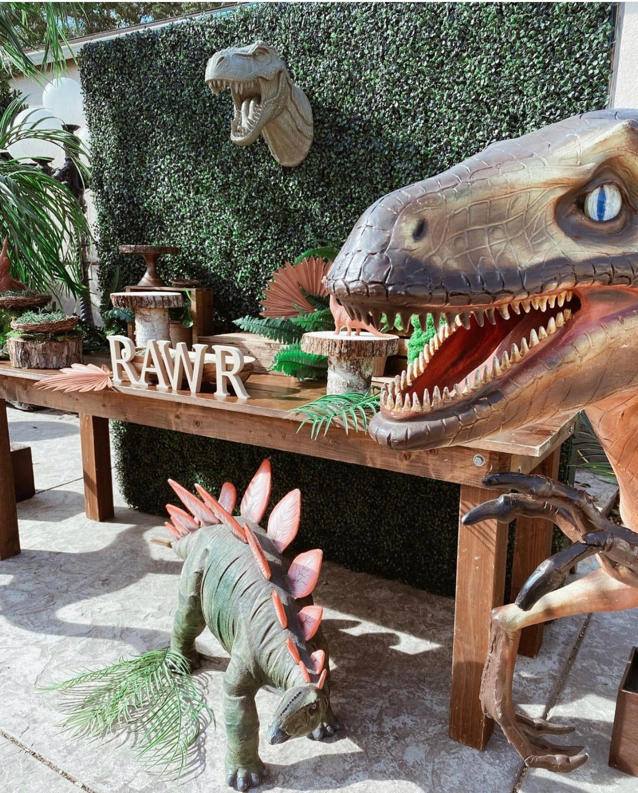 Baby Stegosaurus Dinosaur