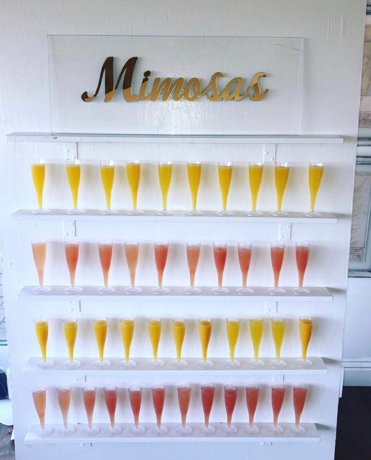 Mimosas Wall Display
