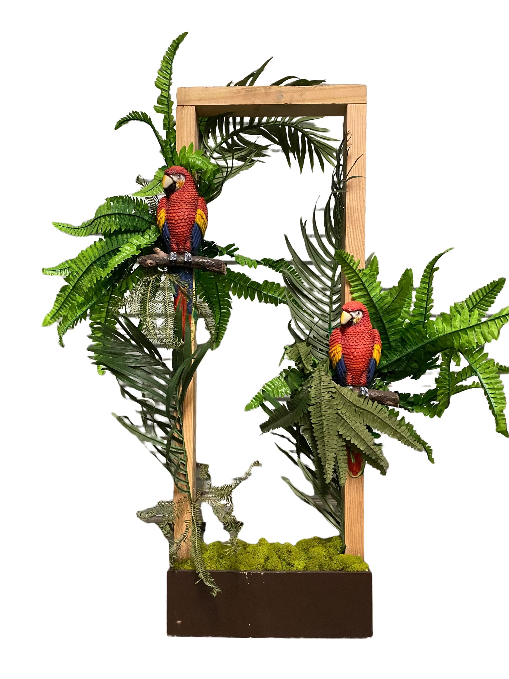 Parrot Tree