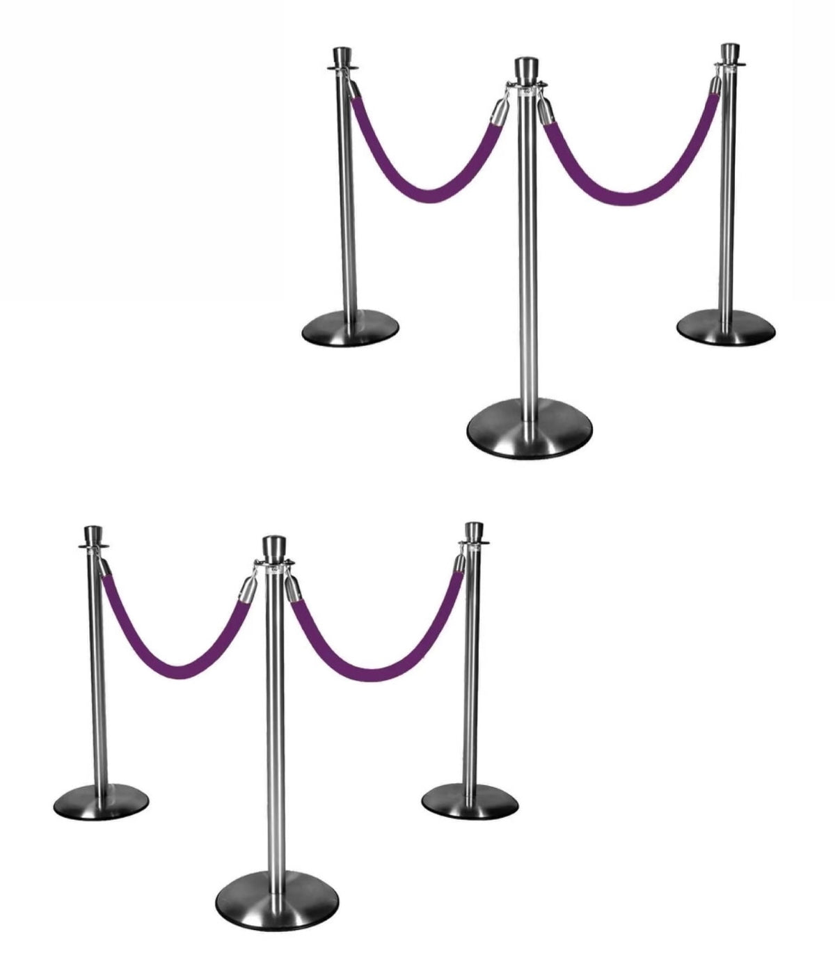Silver Stanchions w/ Purple Ropes