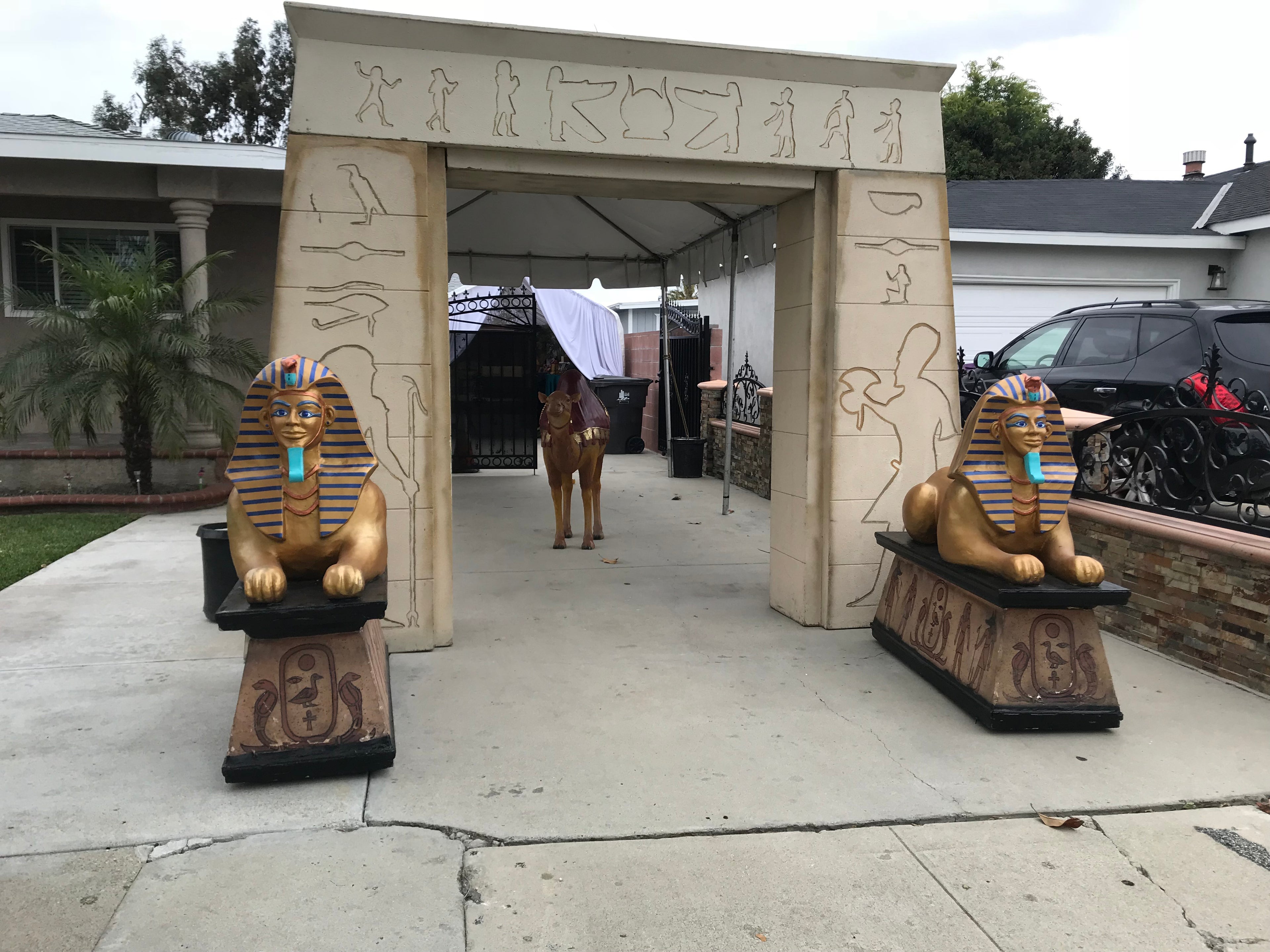 Egyptian Dog