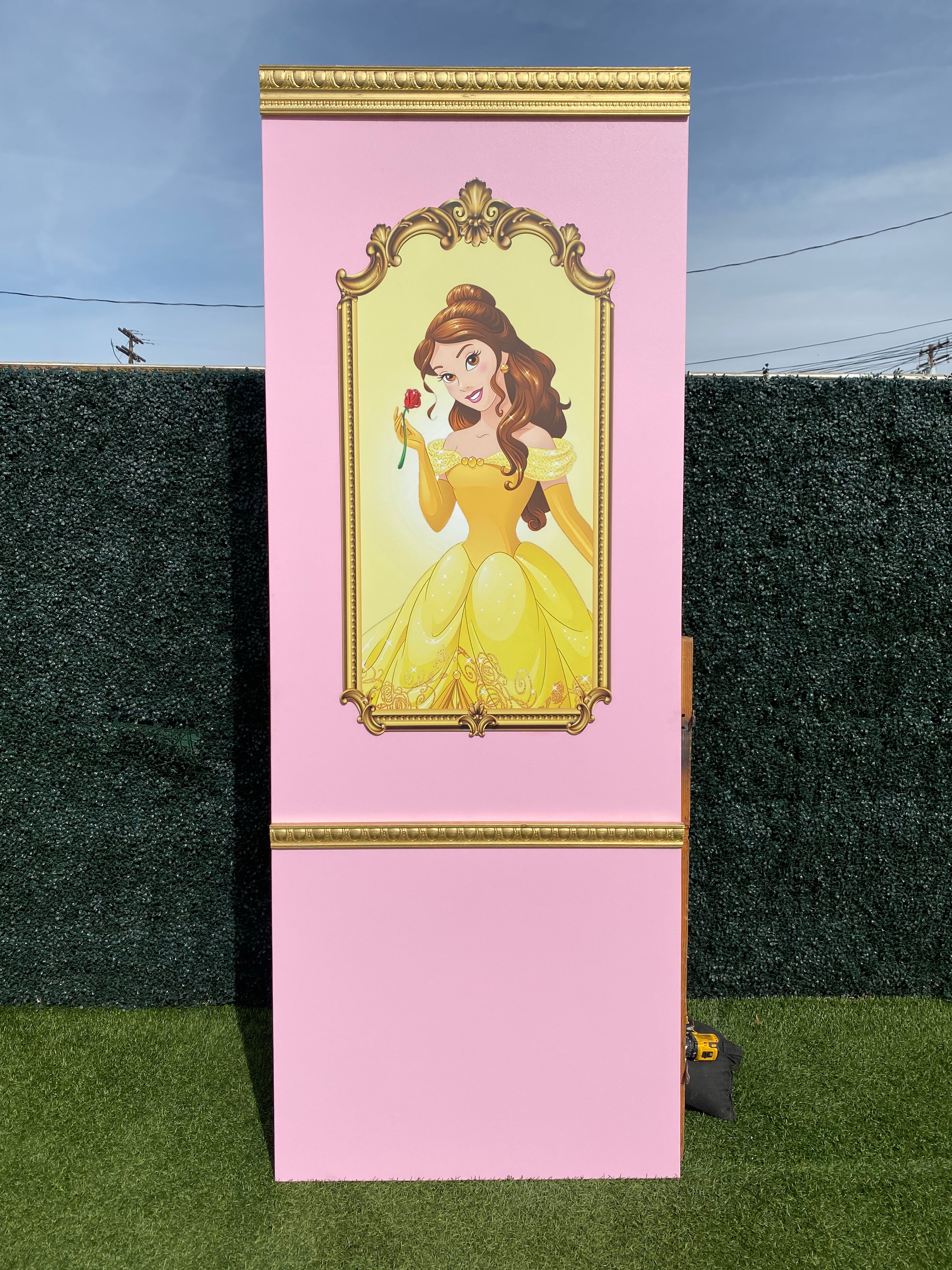 Princess Belle Backdrop Panel