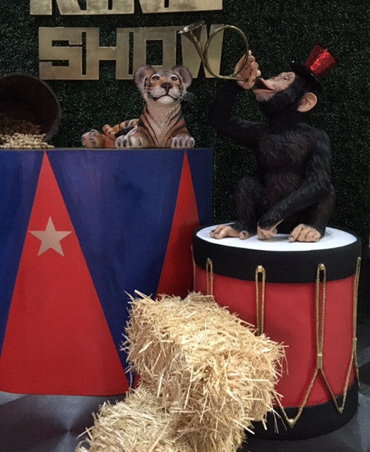 Circus Monkey With Red Drum