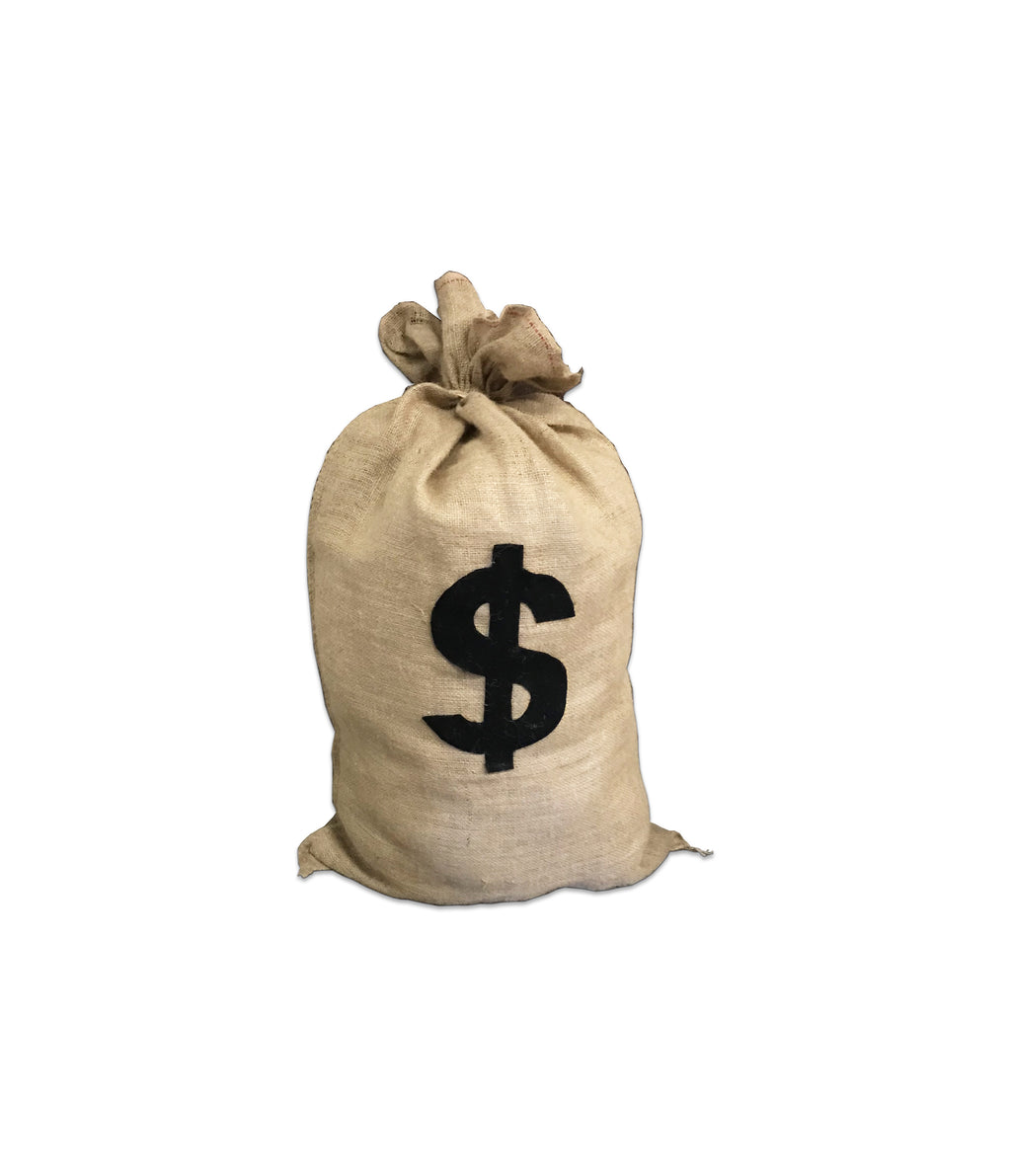 Large Money Bag