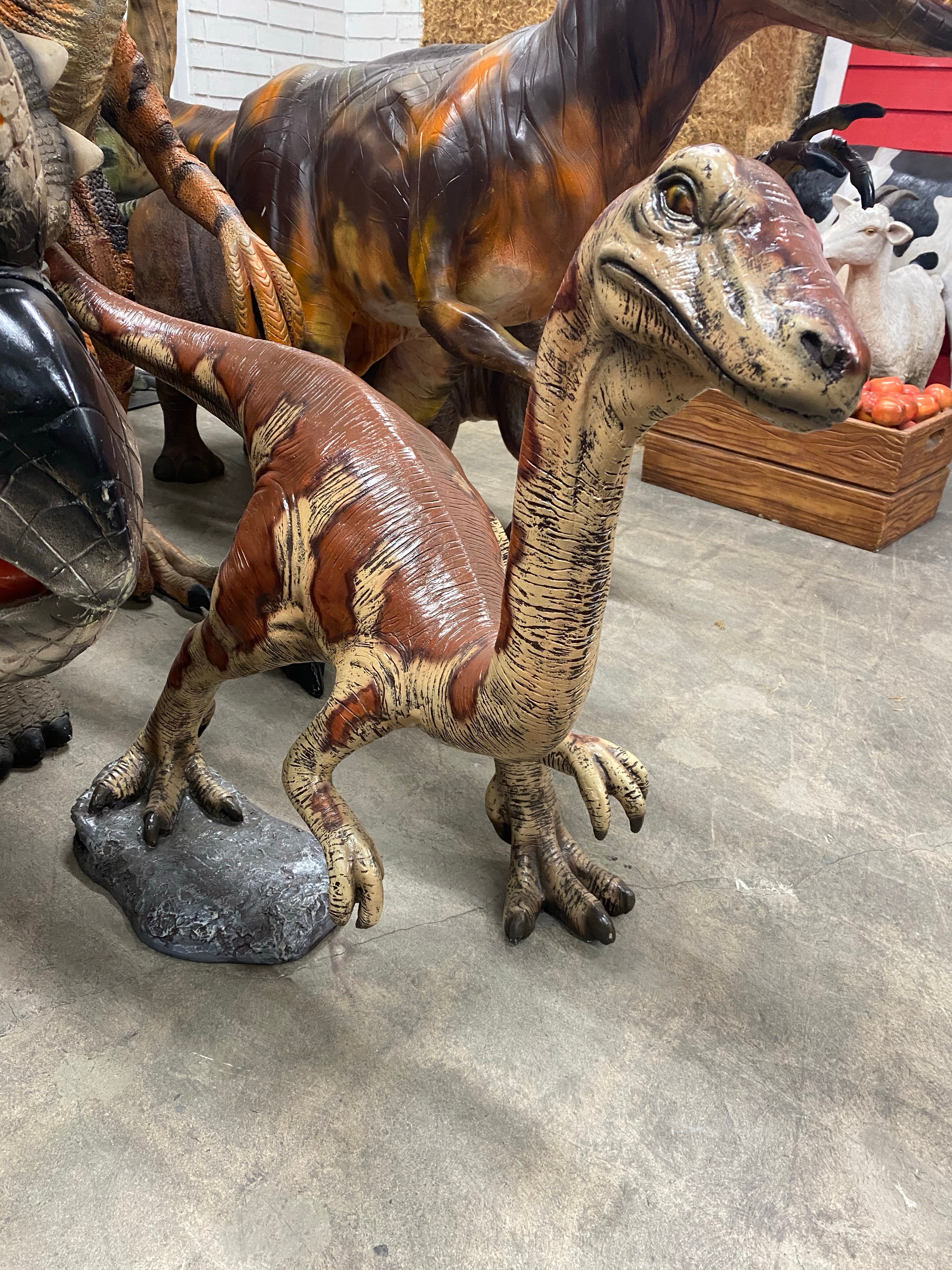 Baby Velociraptor Dinosaur