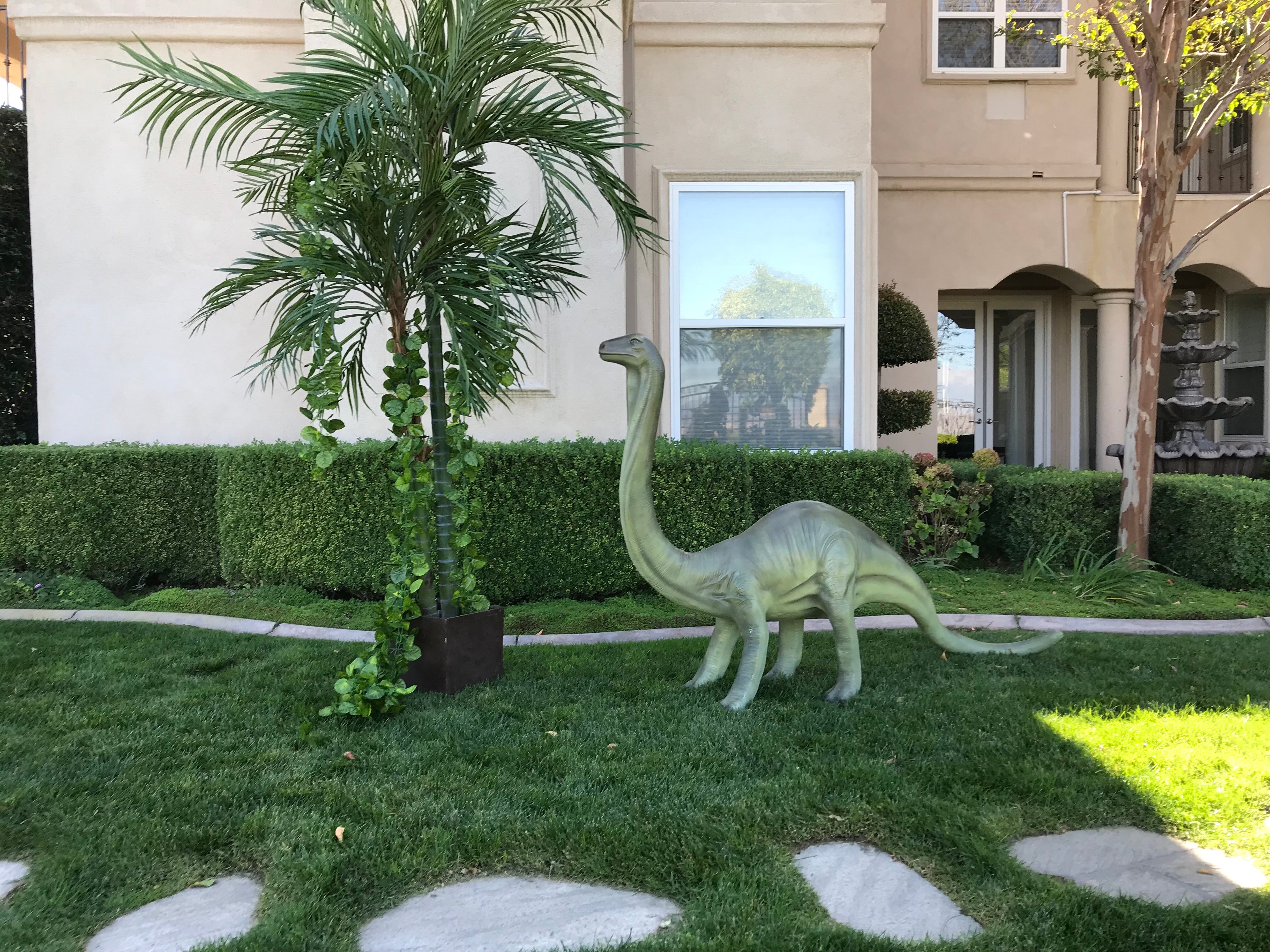 Baby Brachiosaurus Dinosaur