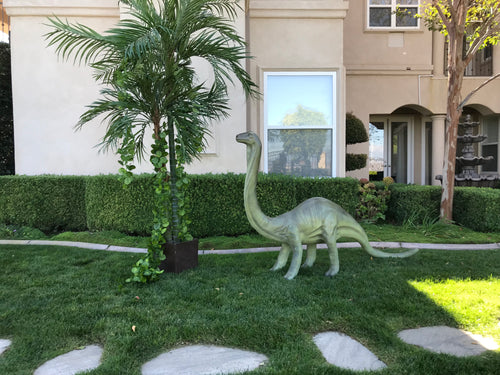 Baby Brachiosaurus Dinosaur