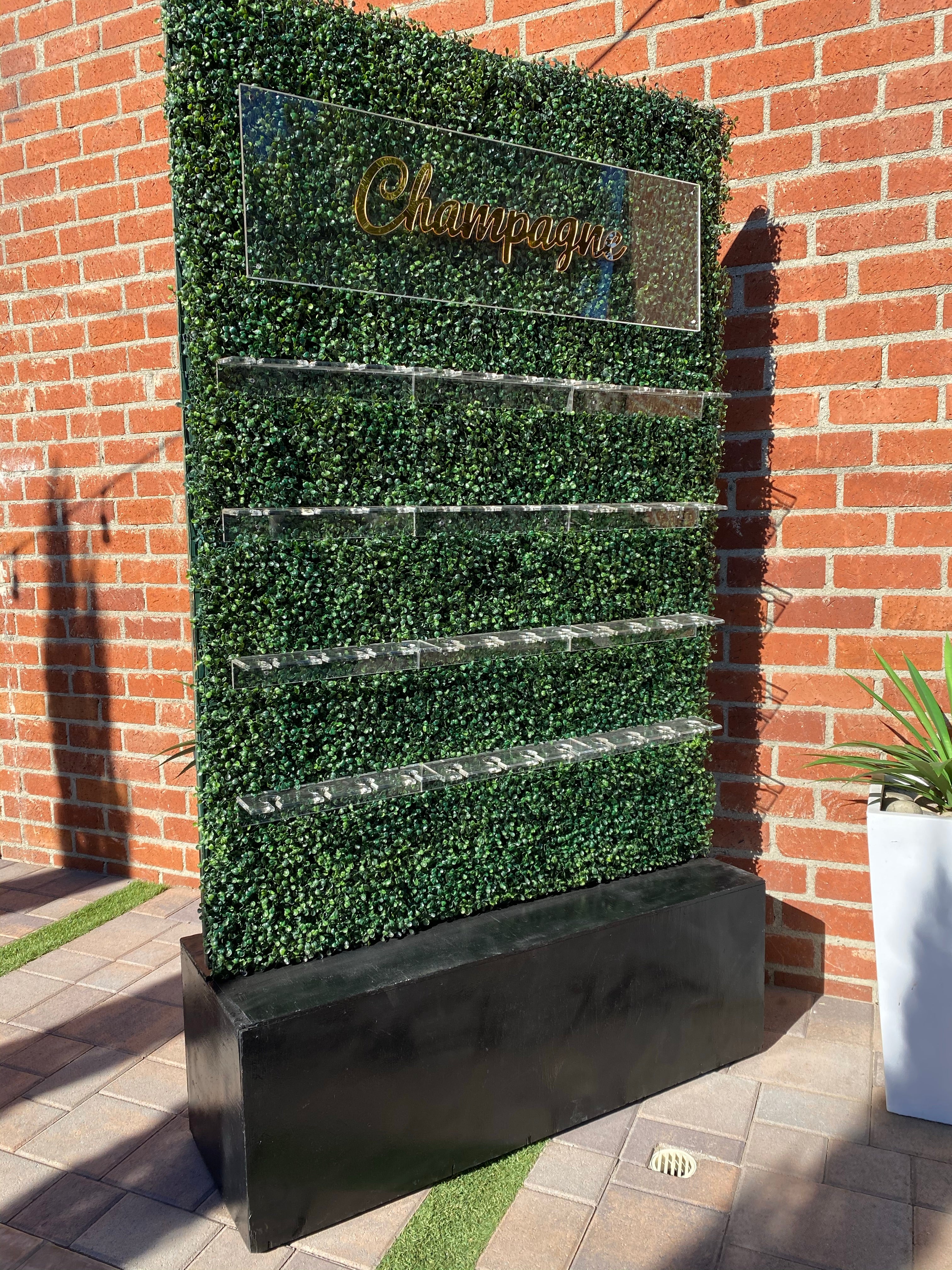 Champagne Hedge Wall Display