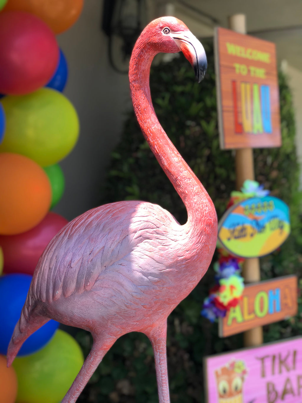Small Flamingo
