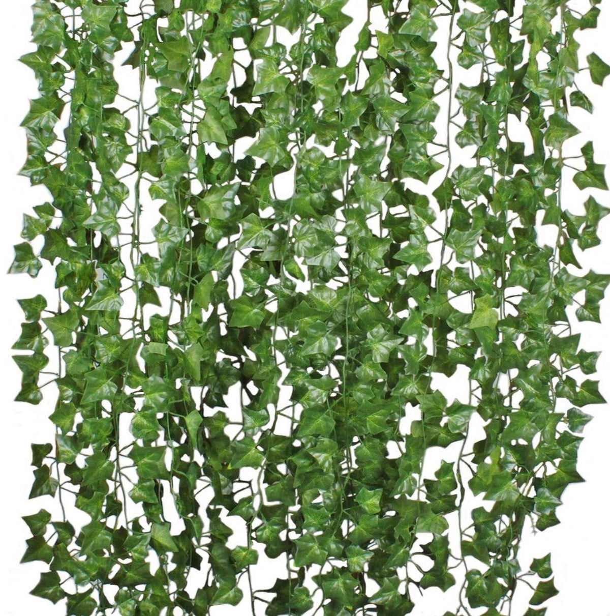 Box Of Green Vines