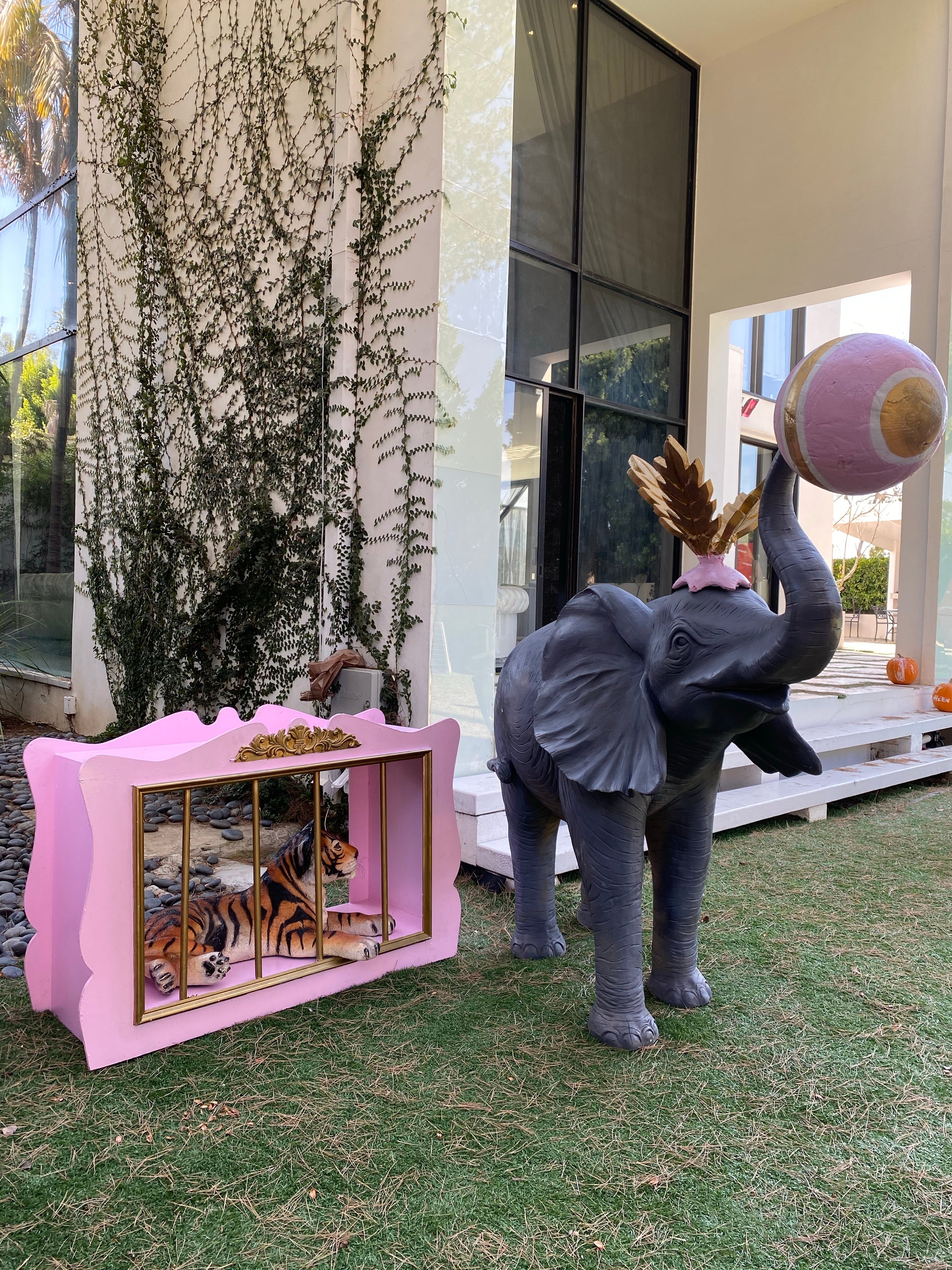 Light Pink Tiger Cage