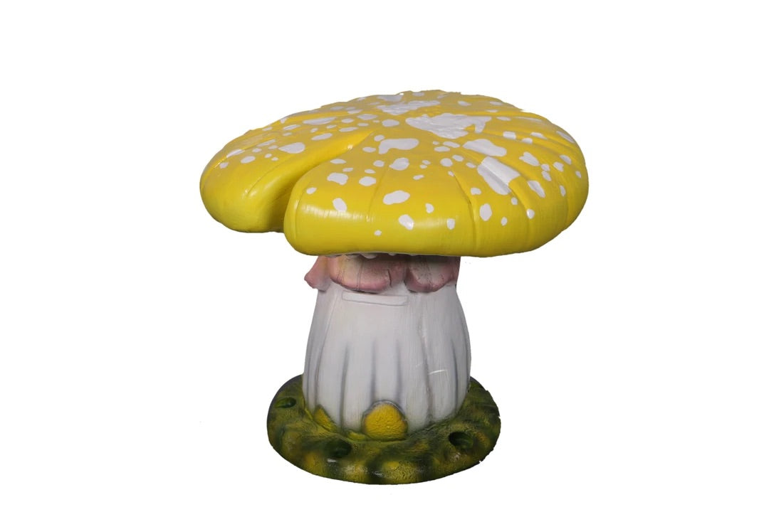 Yellow Top Mushroom Stool