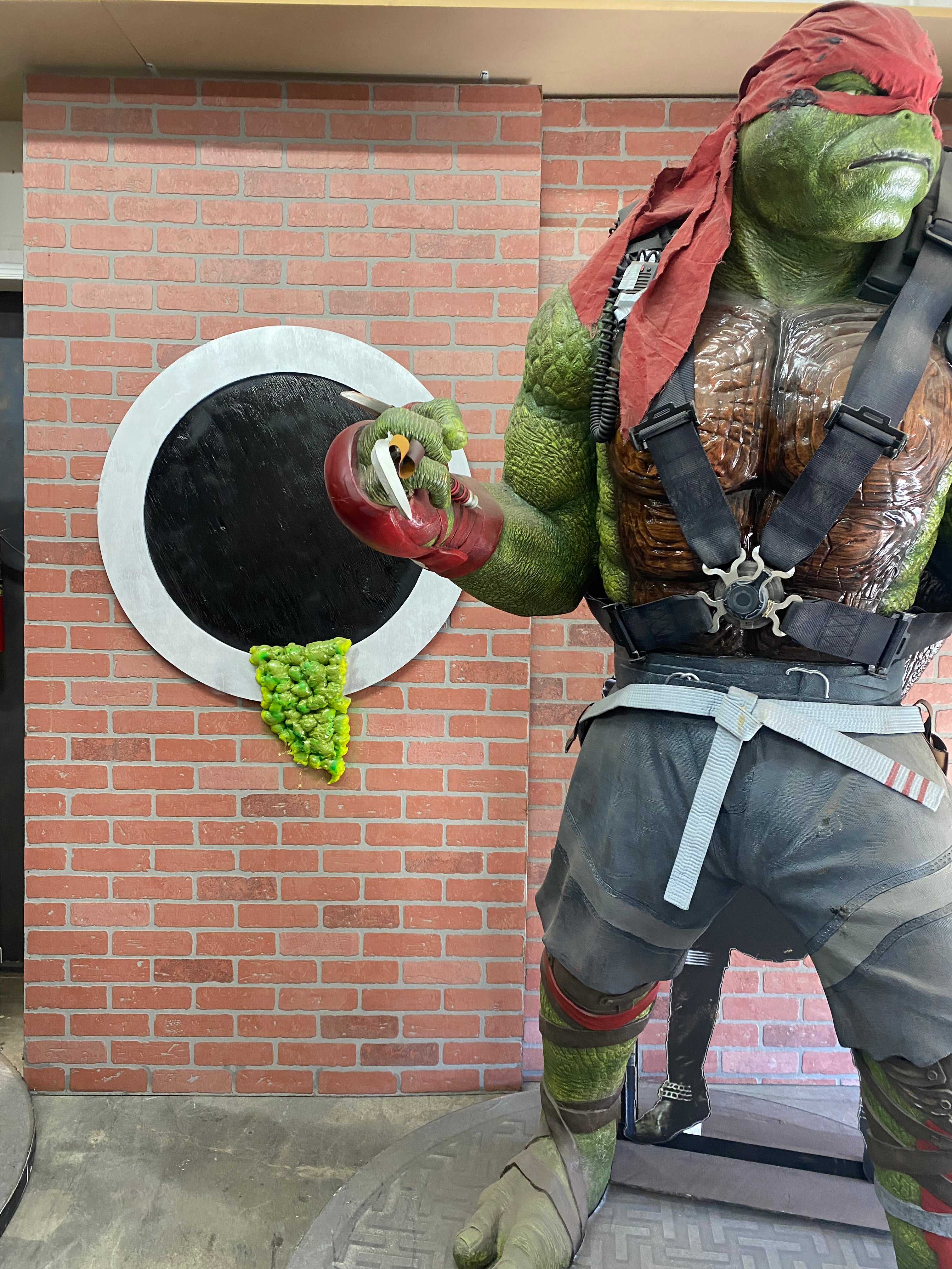 Ninja Turtles Tunnel Backdrop Panel