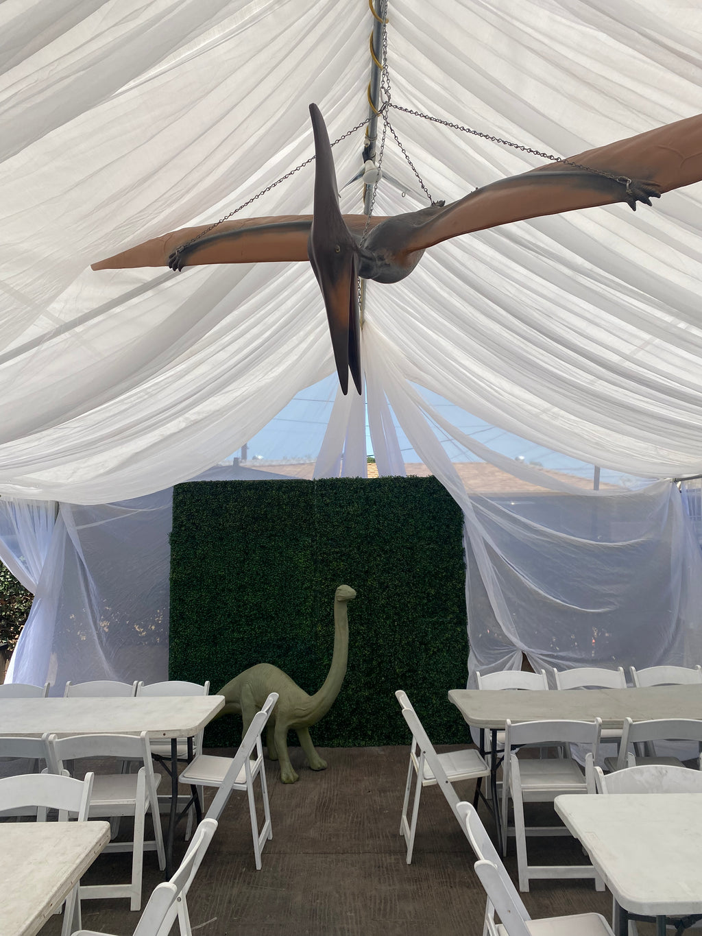 Pteranodon Flying Dinosaur