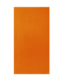 Orange Backdrop